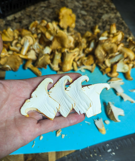 Preserving Chanterelle Mushrooms - Simple Sauté and Freeze Method