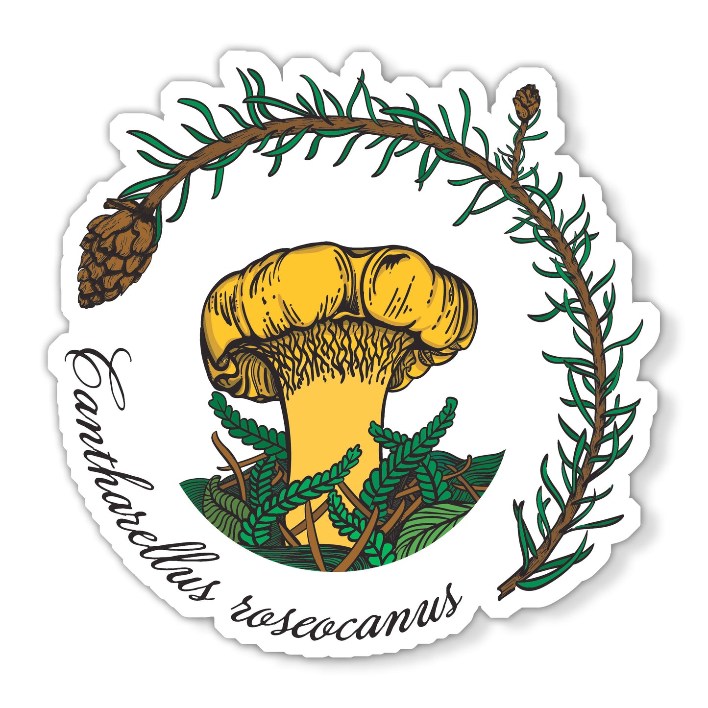 Rainbow Chanterelle Mushroom Magnet | Cantharellus roseocanus