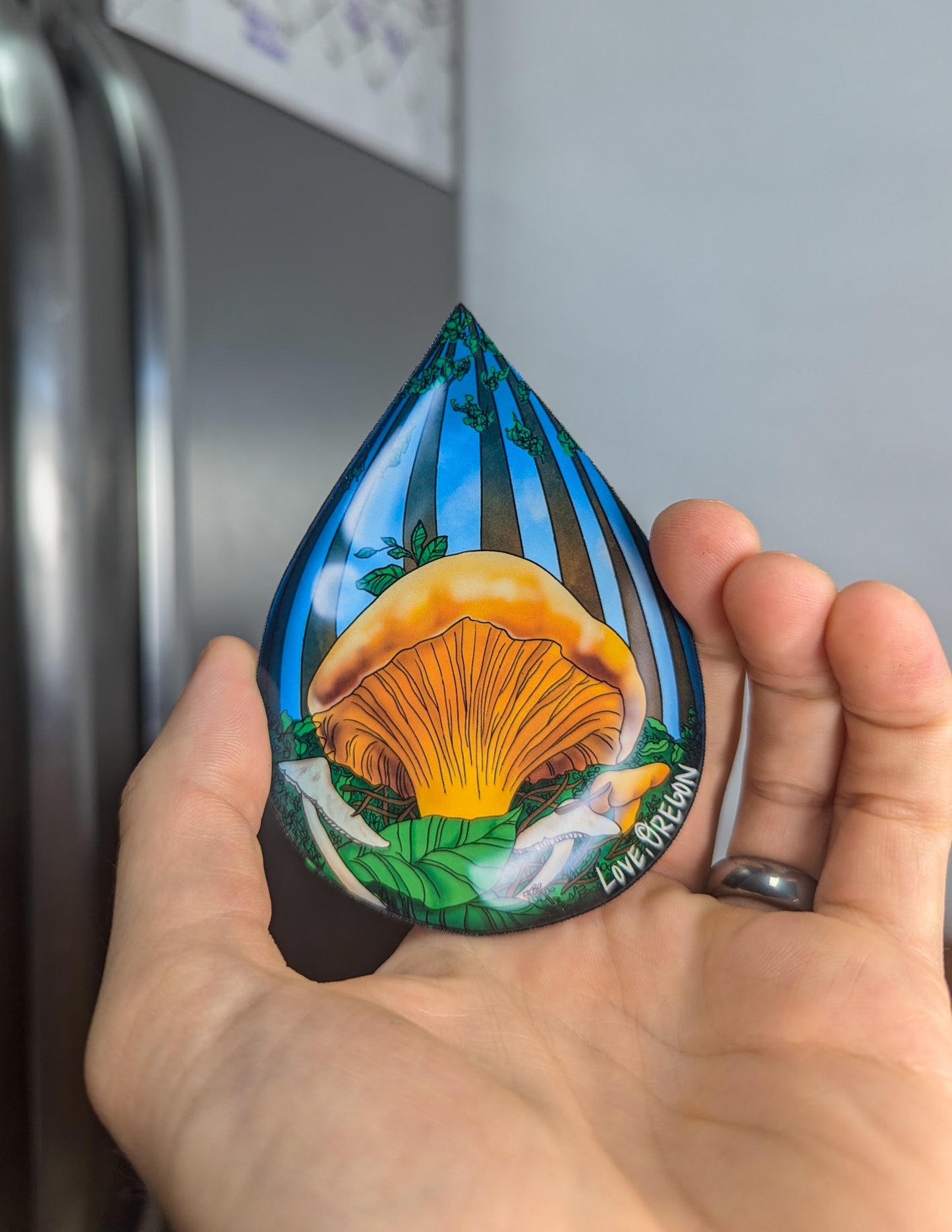 "Love, Oregon" Set of 3 Mushroom Raindrop Magnets | Morel, Chanterelle, and Porcini Mushrooms