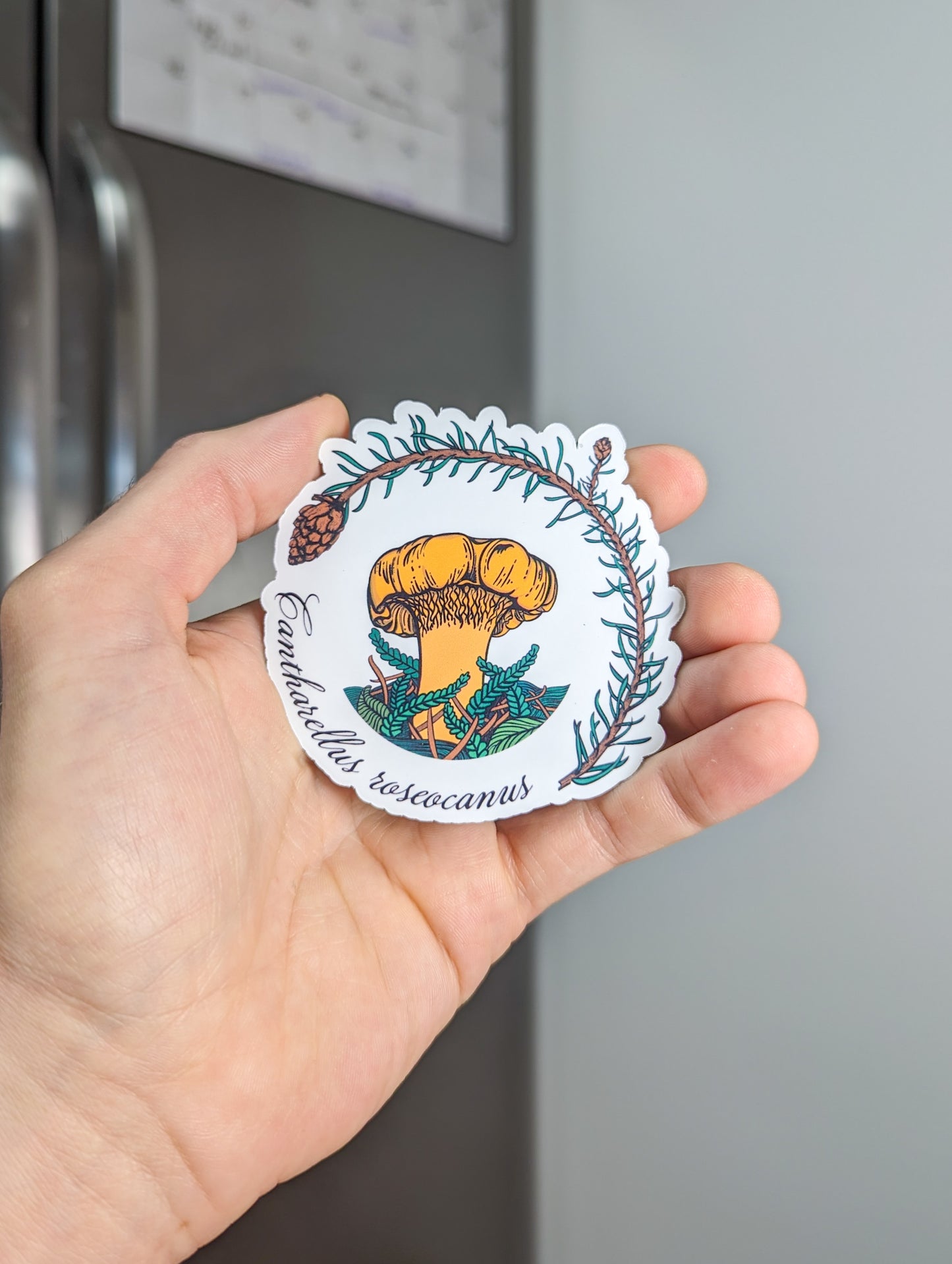 Rainbow Chanterelle Mushroom Magnet | Cantharellus roseocanus