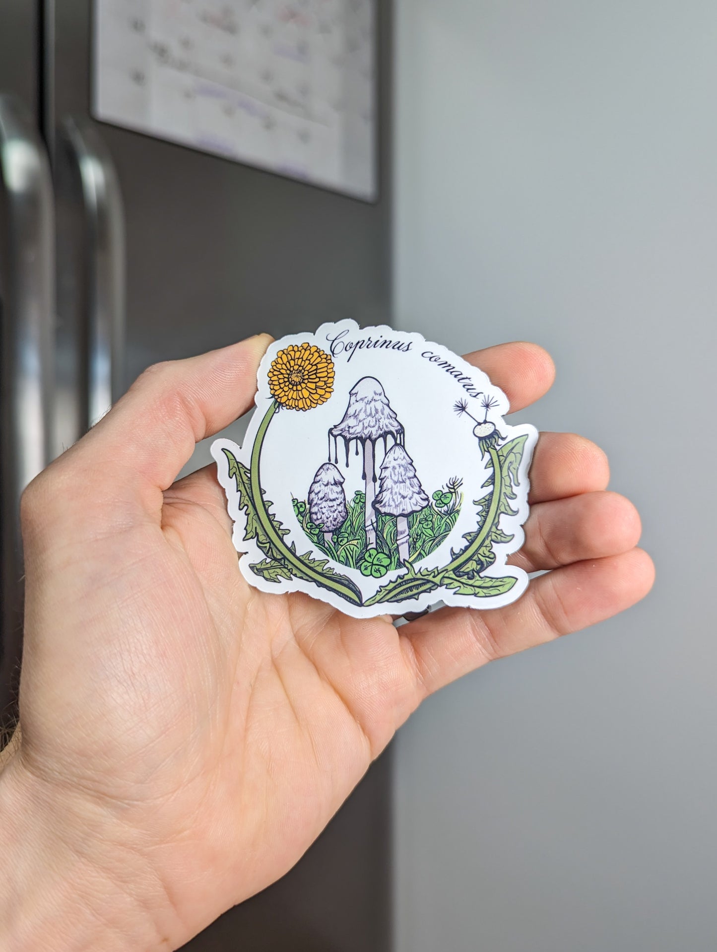 Shaggy Mane Mushroom Magnet | Coprinus comatus | Inky Cap