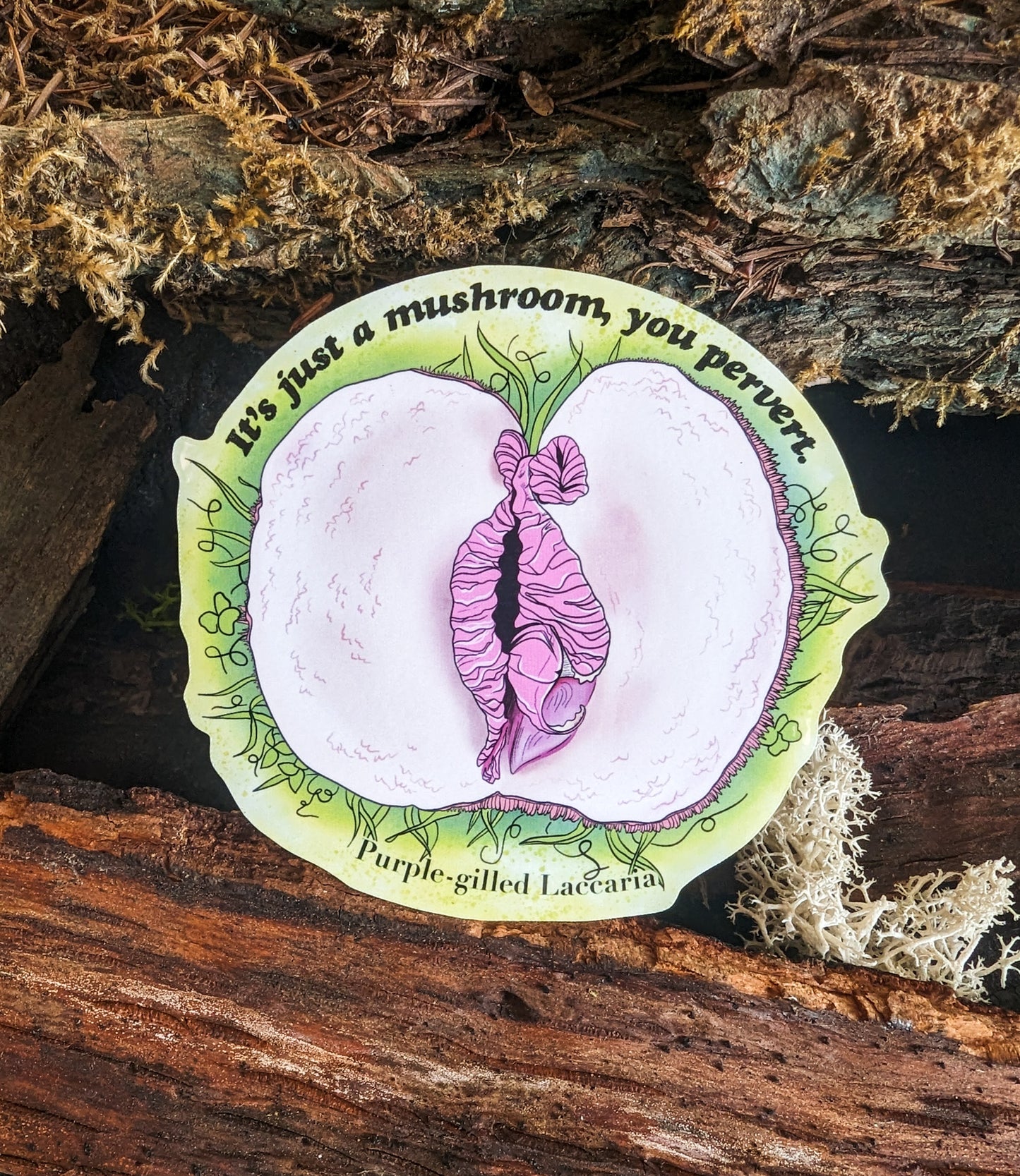 It's Just a Mushroom, You Pervert | Set of 3 Adult Humor Mushroom Stickers
