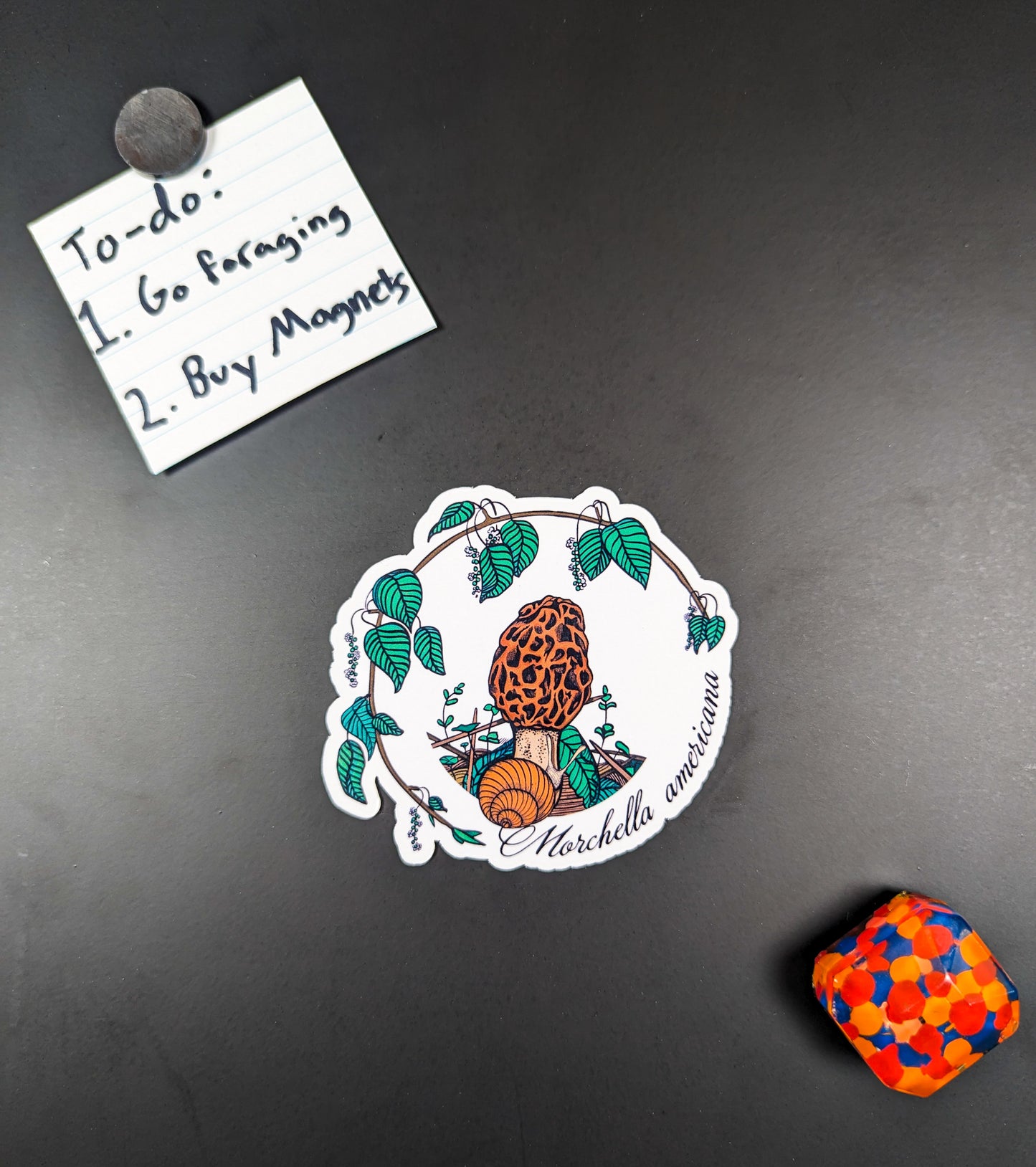 Morel Mushroom Magnet | Morchella americana | American Morel