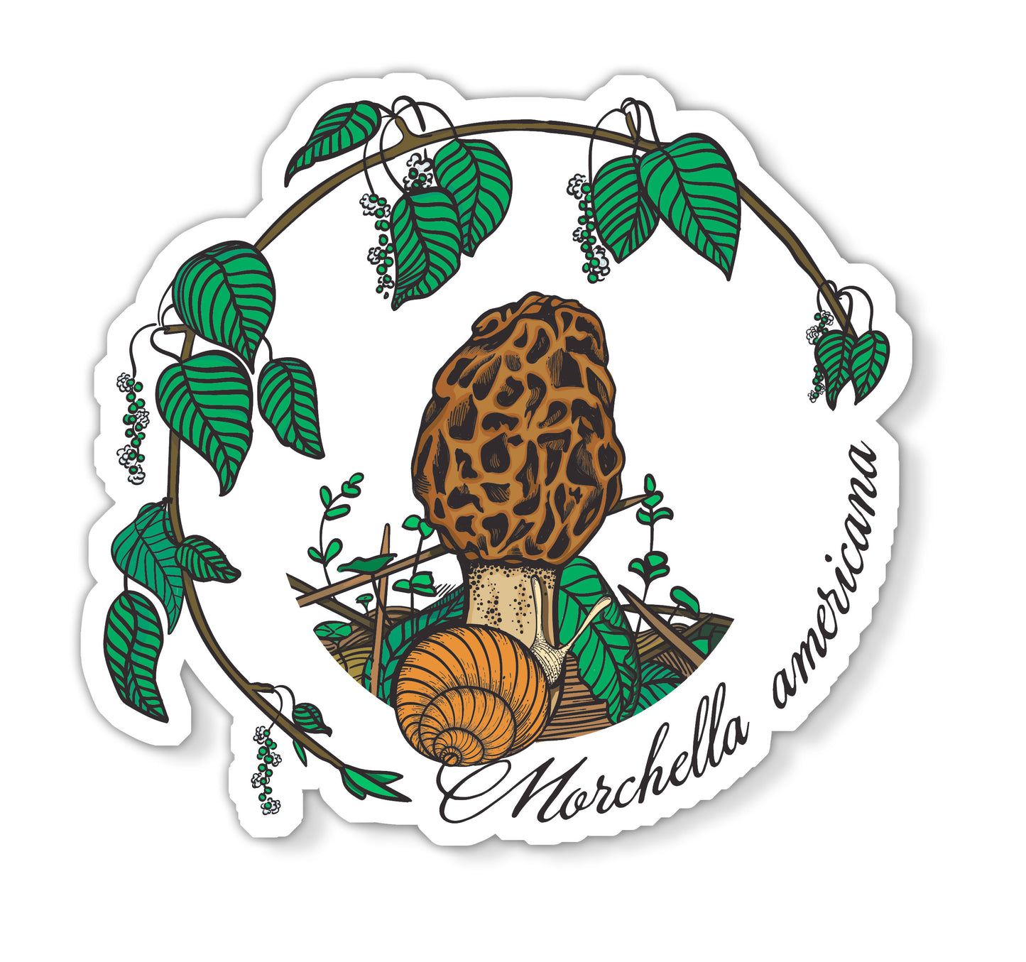 Morel Mushroom Magnet | Morchella americana | American Morel