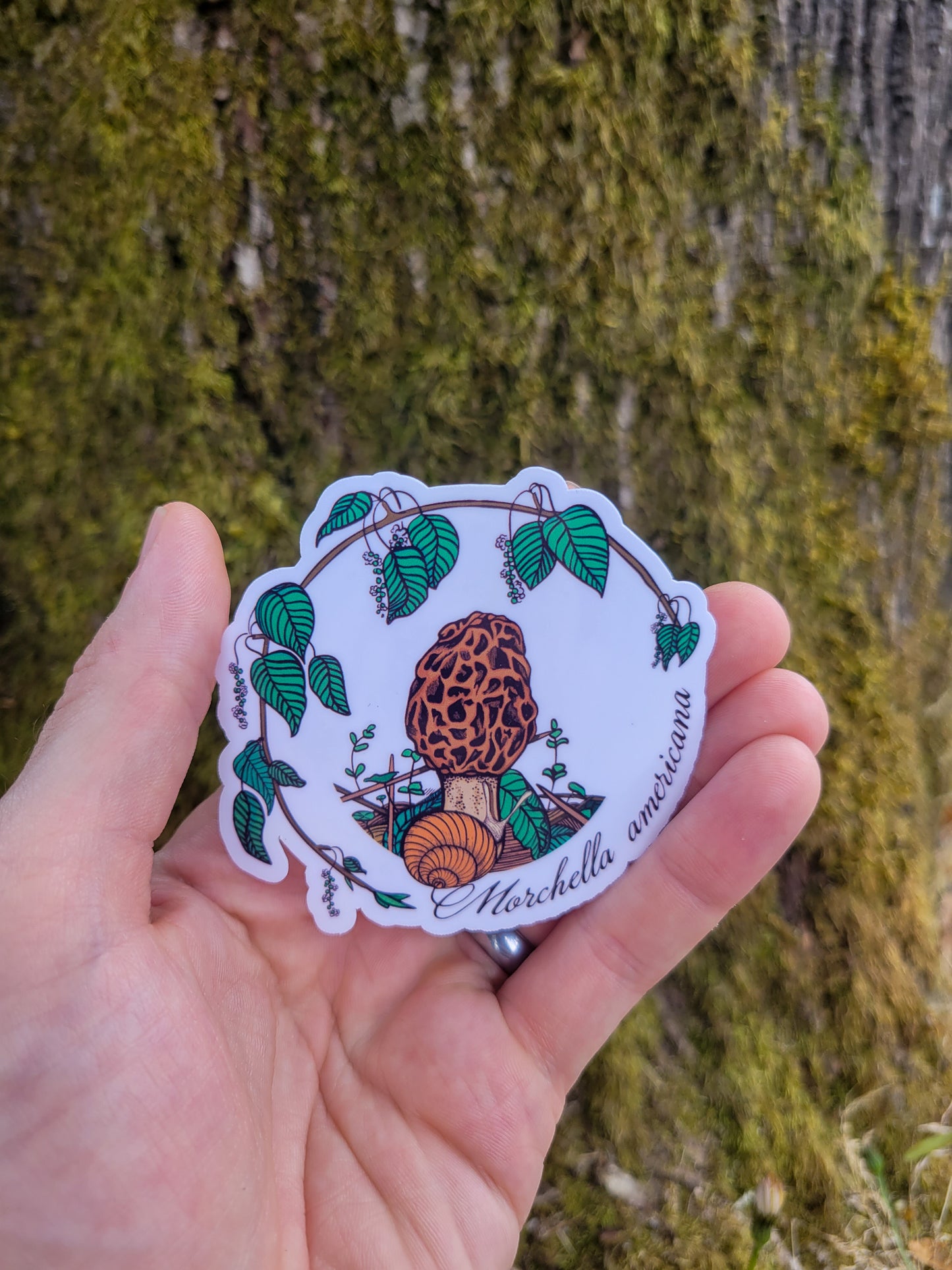 Set of 3 Iconic Pacific Northwest Mushroom Stickers | Chanterelle | Morel | Shaggy Mane