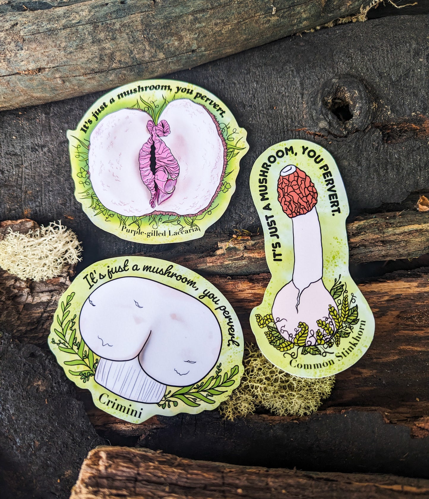 It's Just a Mushroom, You Pervert | Set of 3 Adult Humor Mushroom Stickers