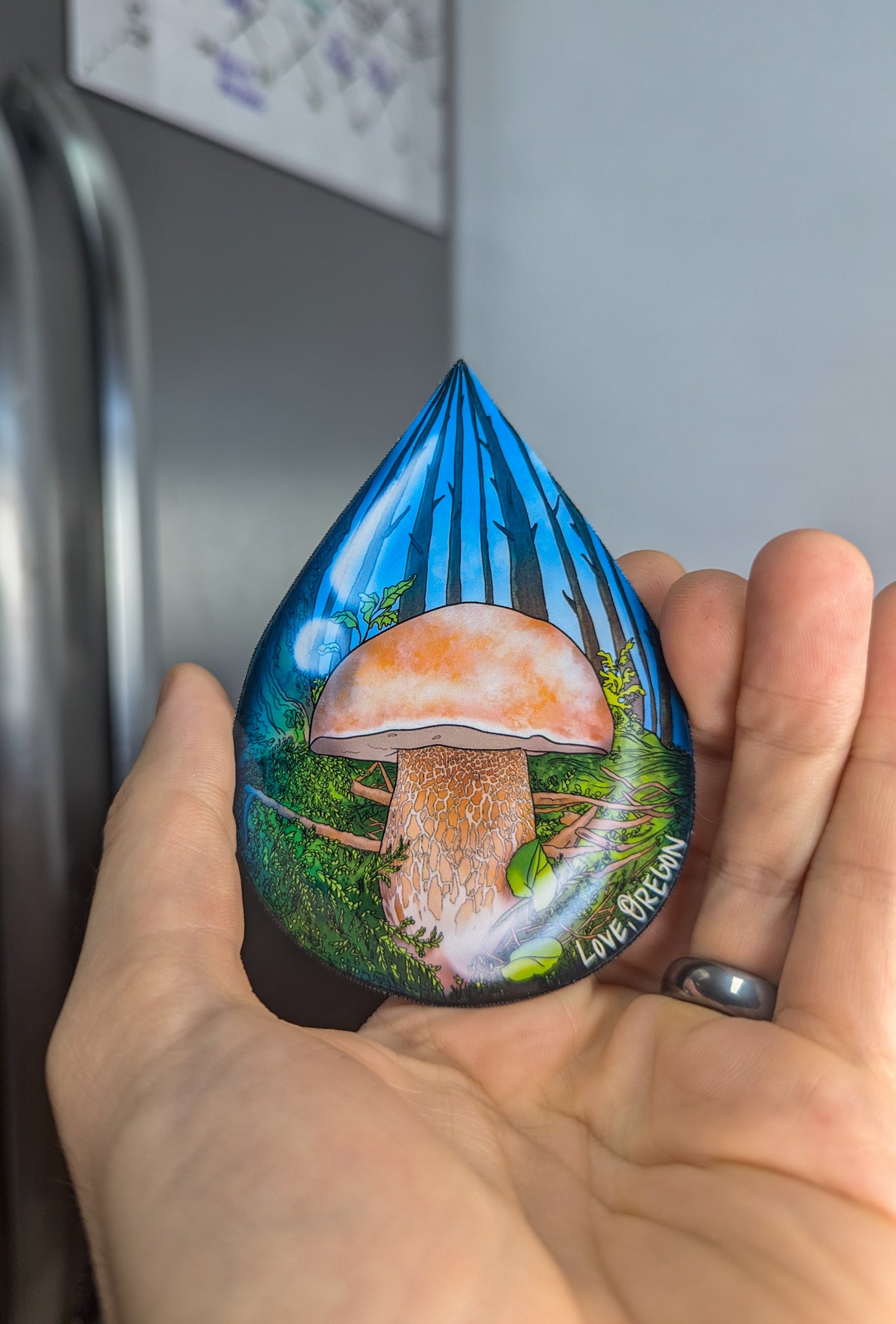 "Love, Oregon" Set of 3 Mushroom Raindrop Magnets | Morel, Chanterelle, and Porcini Mushrooms