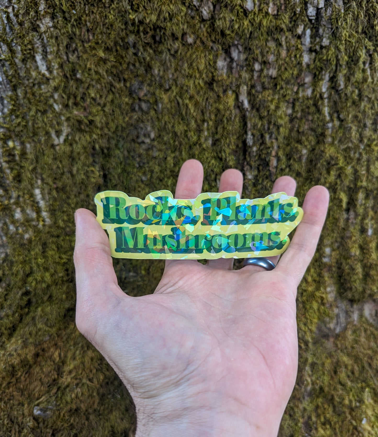 Rocks. Plants. Mushrooms. | Funny Nature Sticker