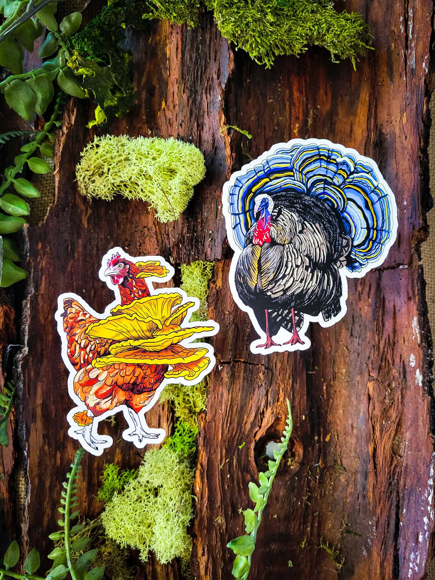 The FULLER Monty! | Collection of 20 Mushroom Stickers by Suzi McCrae