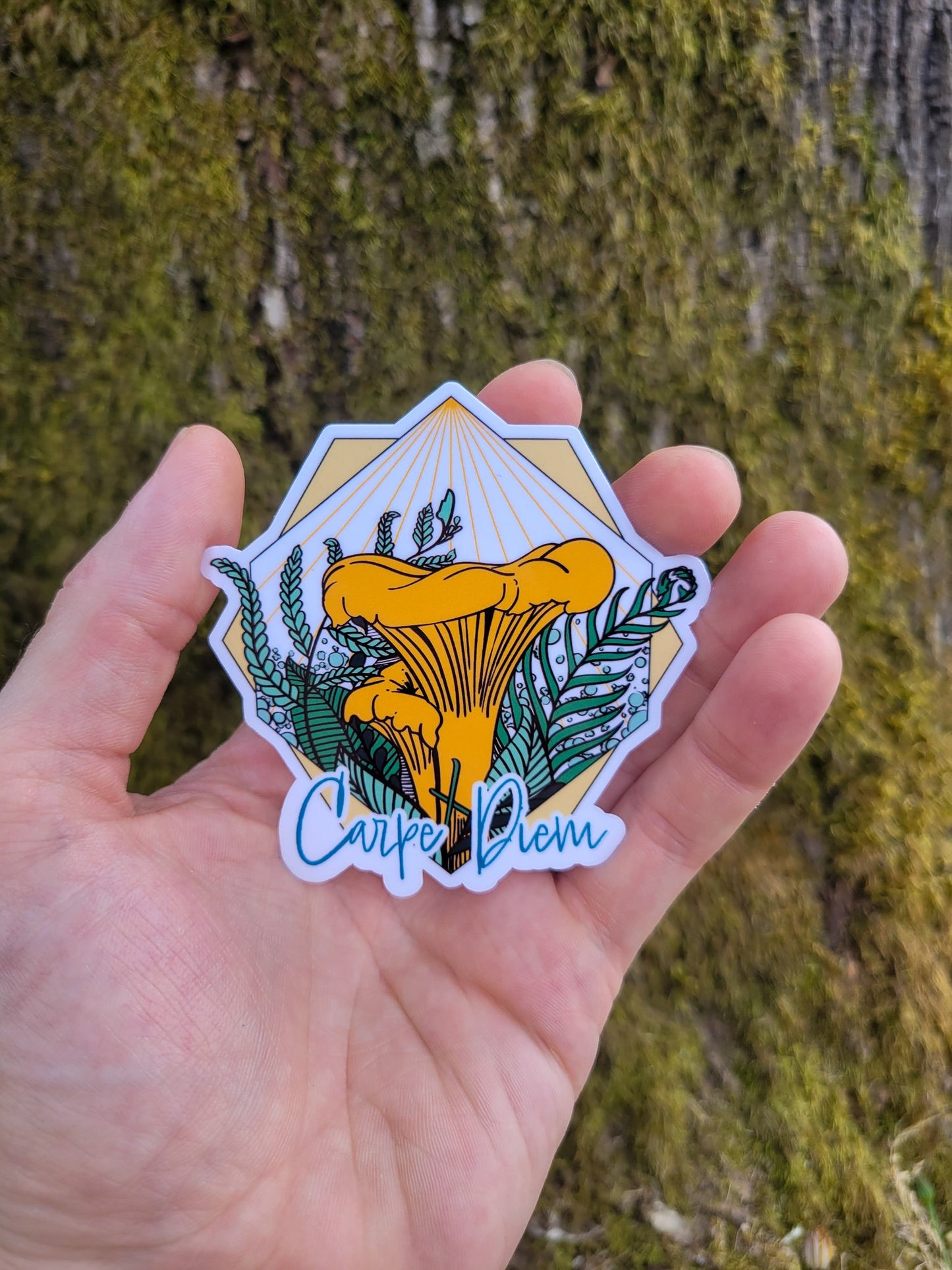 Carpe Diem Chanterelle | Inspirational Mushroom Sticker