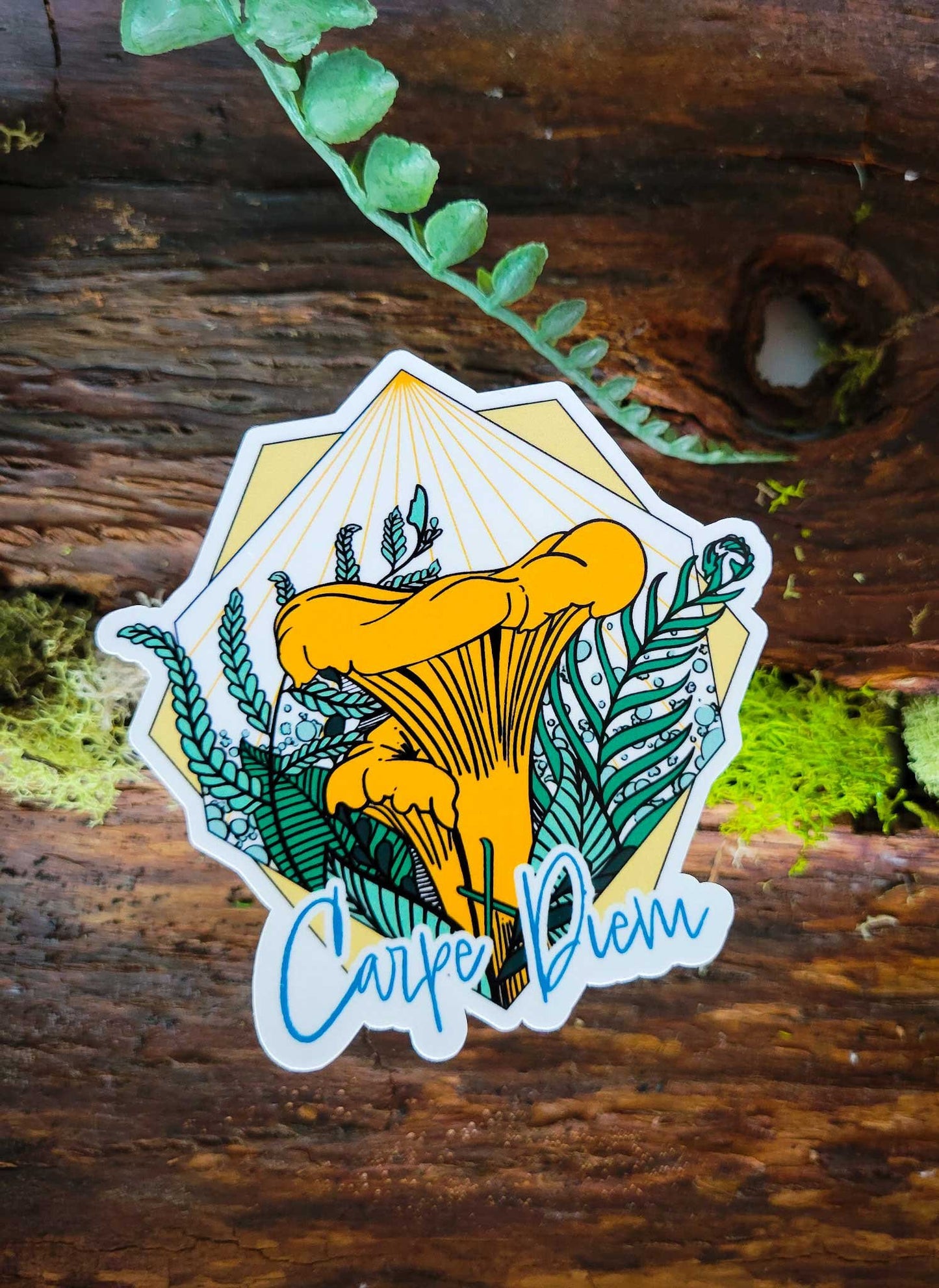 The FULLER Monty! | Collection of 20 Mushroom Stickers by Suzi McCrae