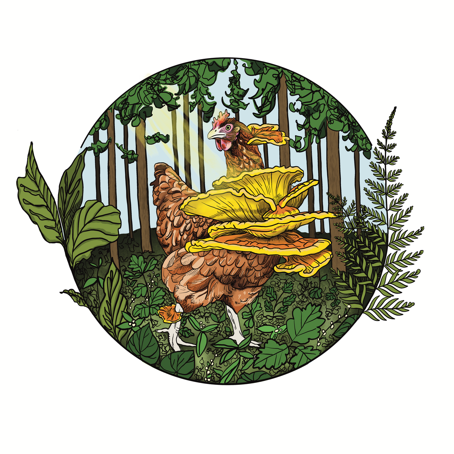 Fowl Play Duo | Set of Two 8"x8" Prints | Chicken of the Woods | Turkey Tail