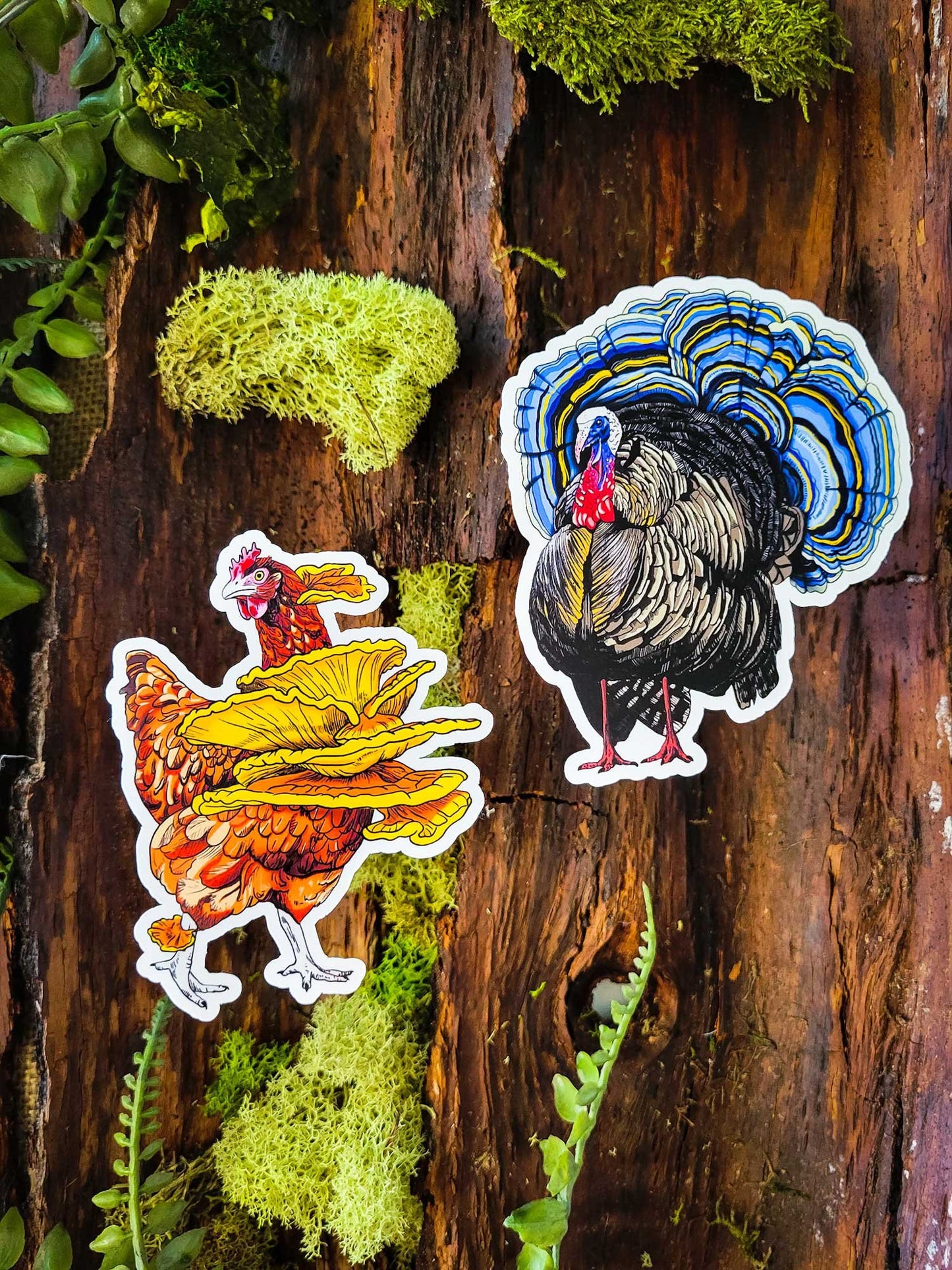 Fowl Play Duo | Set of 2 Funny Mushroom Stickers | Chicken of the Woods | Turkey Tail