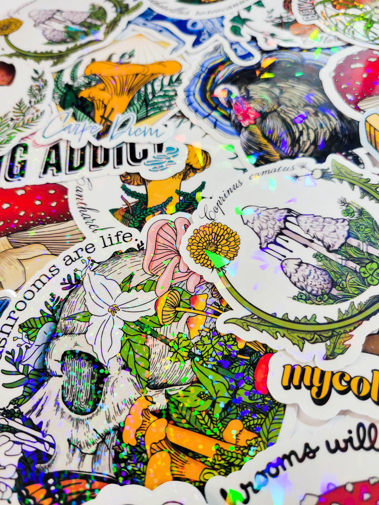 The FULLER Monty! | Collection of 20 Mushroom Stickers by Suzi McCrae