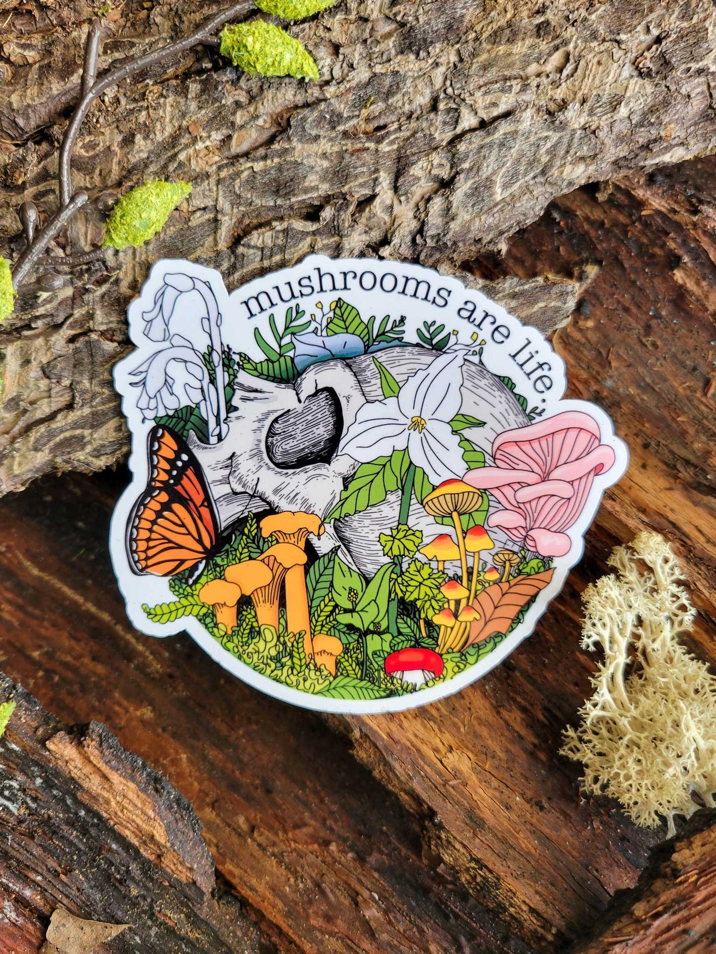 The FULLER Monty! | Collection of 20 Mushroom Stickers by Suzi McCrae