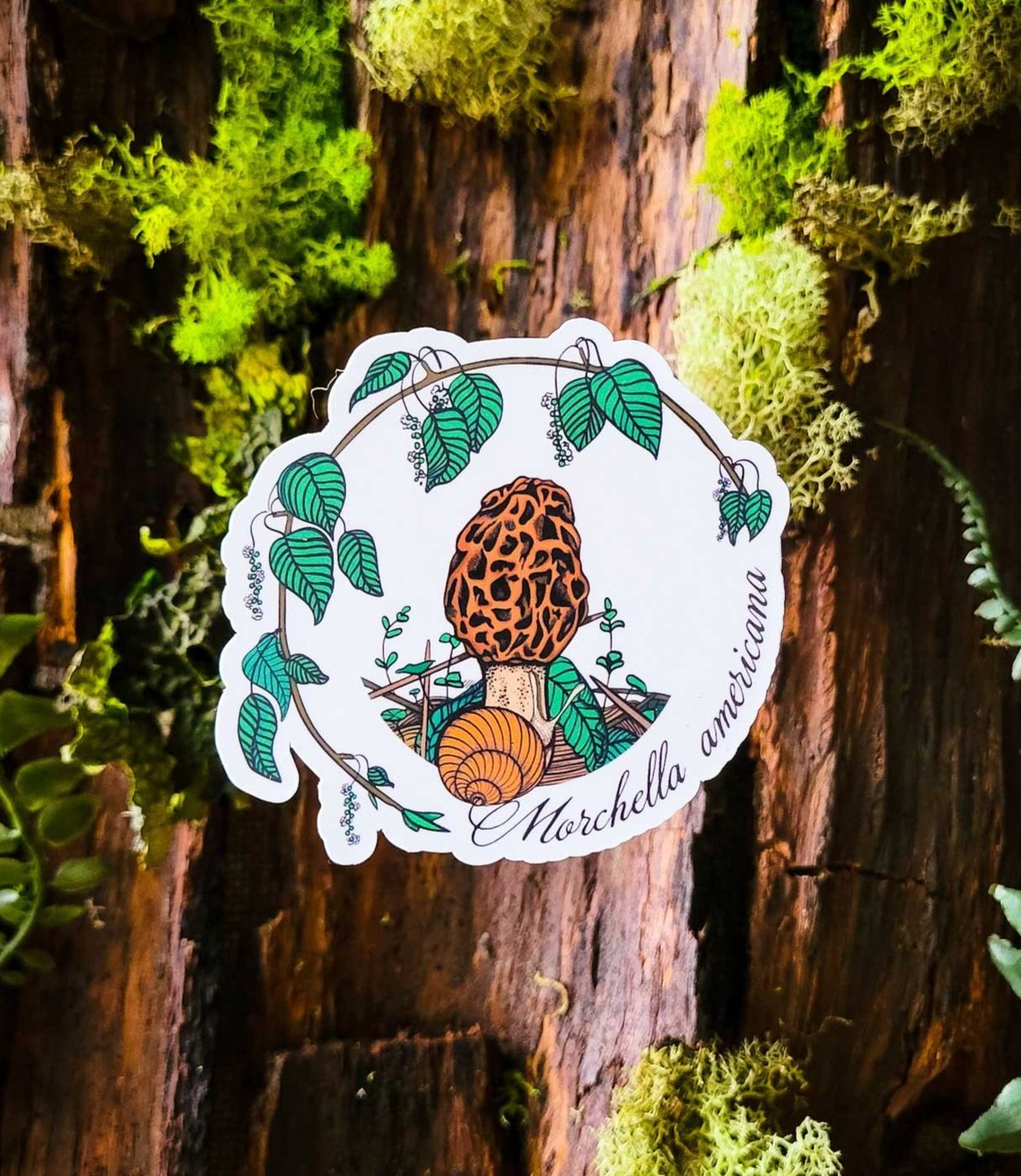 The Full Monty | Collection of 10 Mushroom Stickers by Suzi McCrae