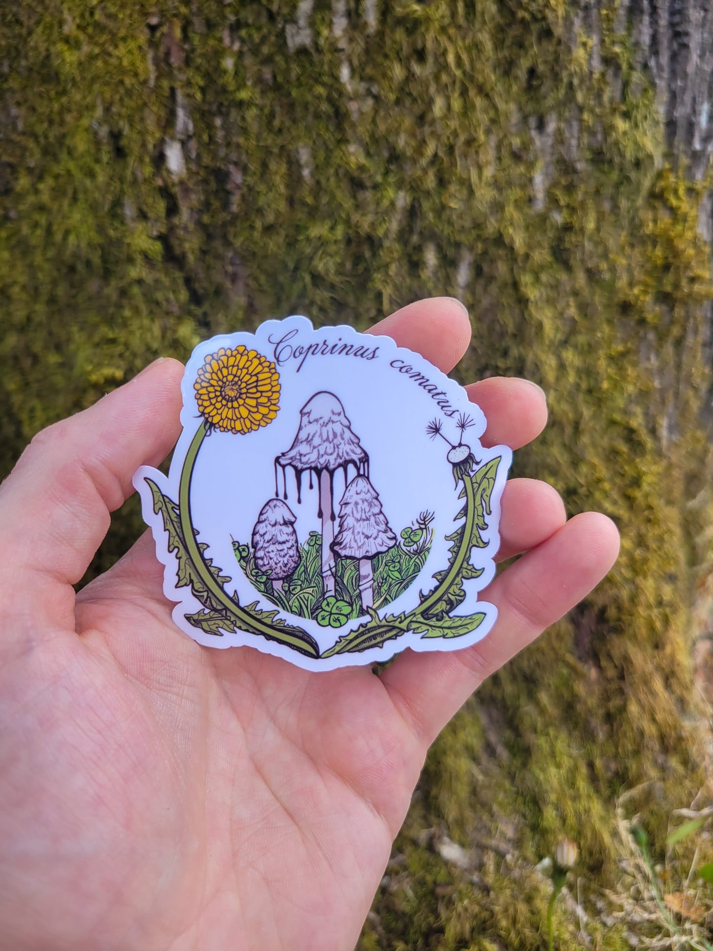 Shaggy Mane Mushroom Sticker | Coprinus comatus | Inky Cap