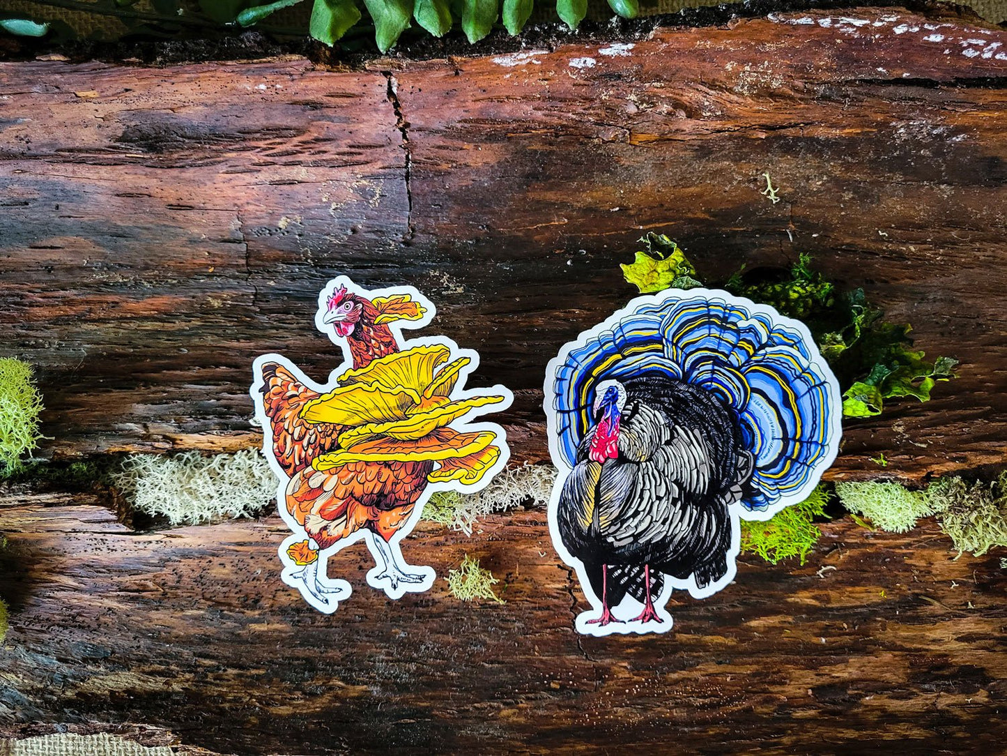 Fowl Play Duo | Set of 2 Funny Mushroom Stickers | Chicken of the Woods | Turkey Tail