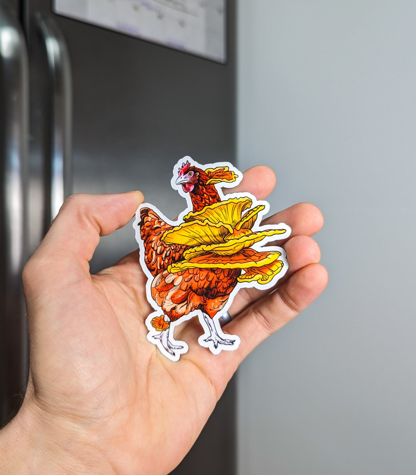 "Fowl Play Duo" Set of 2 Magnets| Chicken of the Woods | Turkey Tail