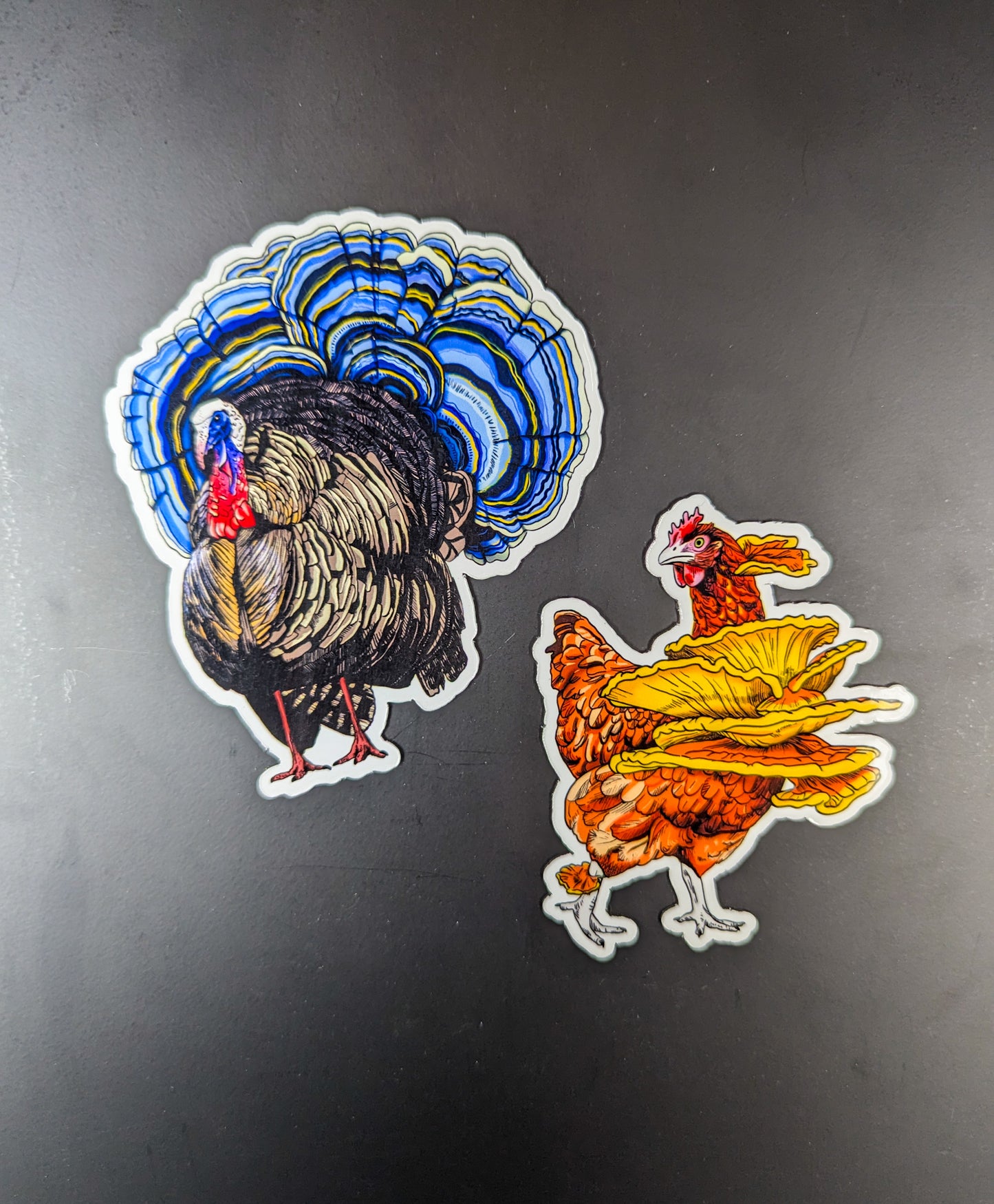 "Fowl Play Duo" Set of 2 Magnets| Chicken of the Woods | Turkey Tail