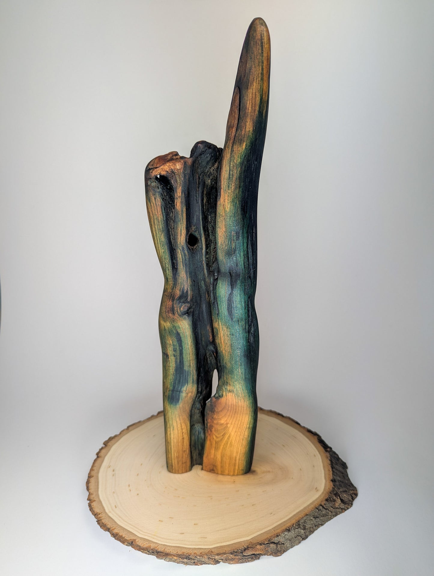 Hand of Nature | Abstract Hand/Forearm Display Piece | Naturally Fungus Stained Wood