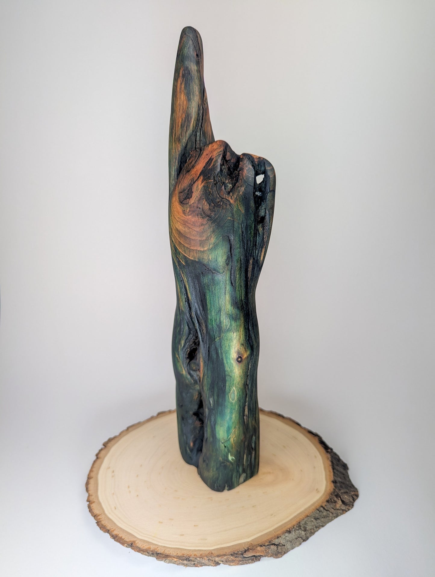 Hand of Nature | Abstract Hand/Forearm Display Piece | Naturally Fungus Stained Wood