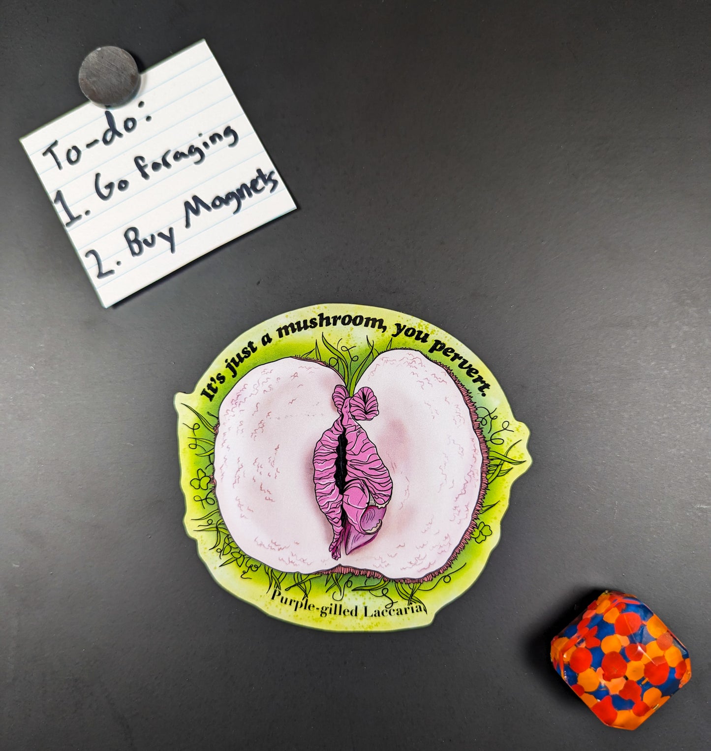 "It's Just a Mushroom, You Pervert" Set of 3 Mushroom Magnets | Common Stinkhorn, Crimini, and Purple-Gilled Laccaria