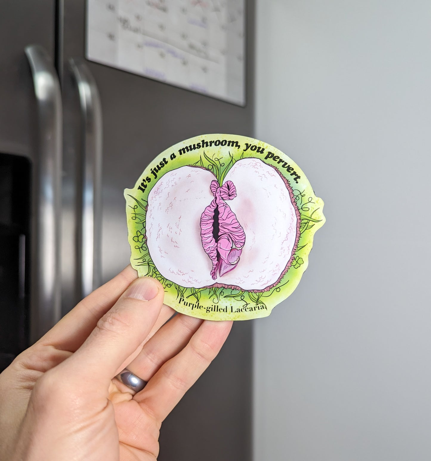 "It's Just a Mushroom, You Pervert" Set of 3 Mushroom Magnets | Common Stinkhorn, Crimini, and Purple-Gilled Laccaria