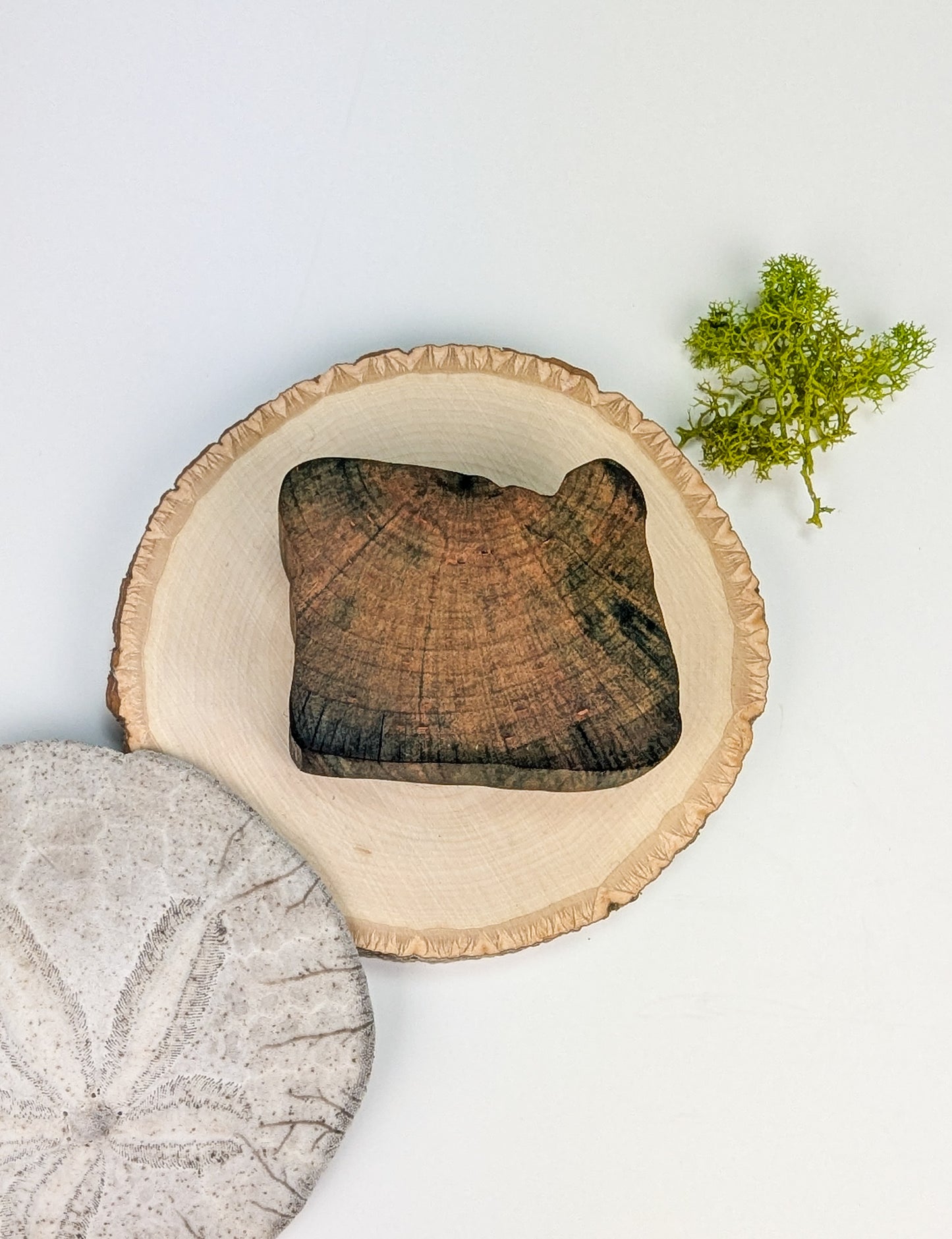 Oregon Display Piece #05 | Naturally Fungus Stained Wood