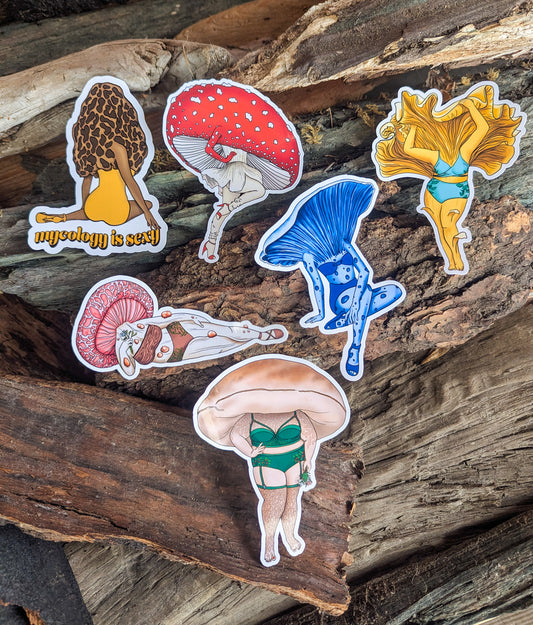 Set of 6 FunGal Pinup Girl Stickers | Amanita, Chanterelle, Indigo Milk Cap, Wrinkled Peach, Porcini and Morel Pinup Girls