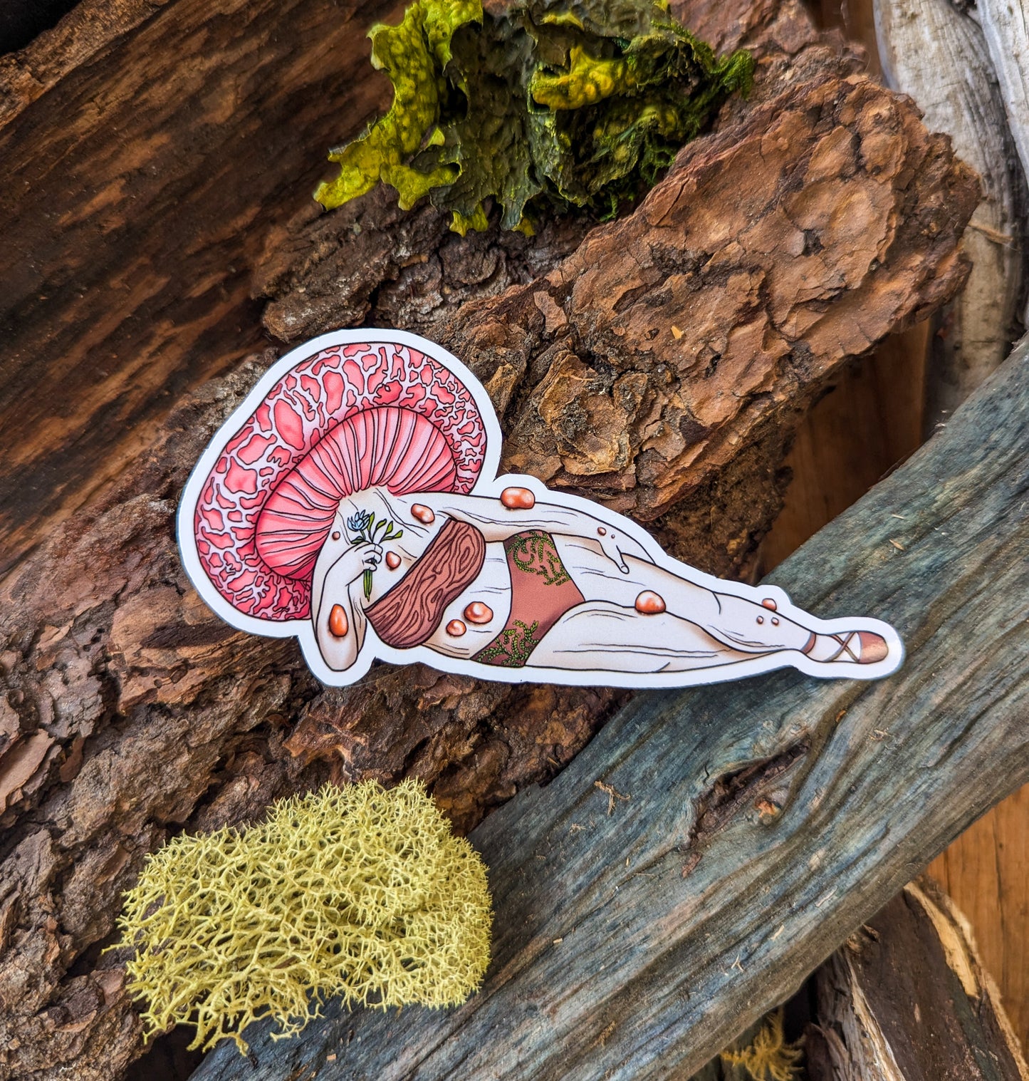 "Wrinkled Peach" Mushroom Pinup Girl Sticker | Rhodotus palmatus | Curvy FunGal