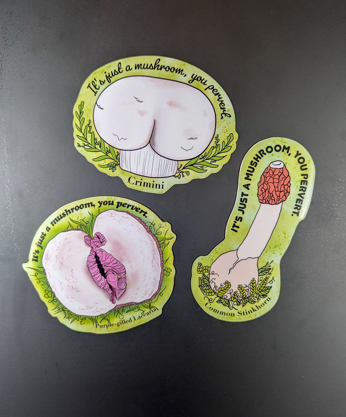 "It's Just a Mushroom, You Pervert" Set of 3 Mushroom Magnets | Common Stinkhorn, Crimini, and Purple-Gilled Laccaria