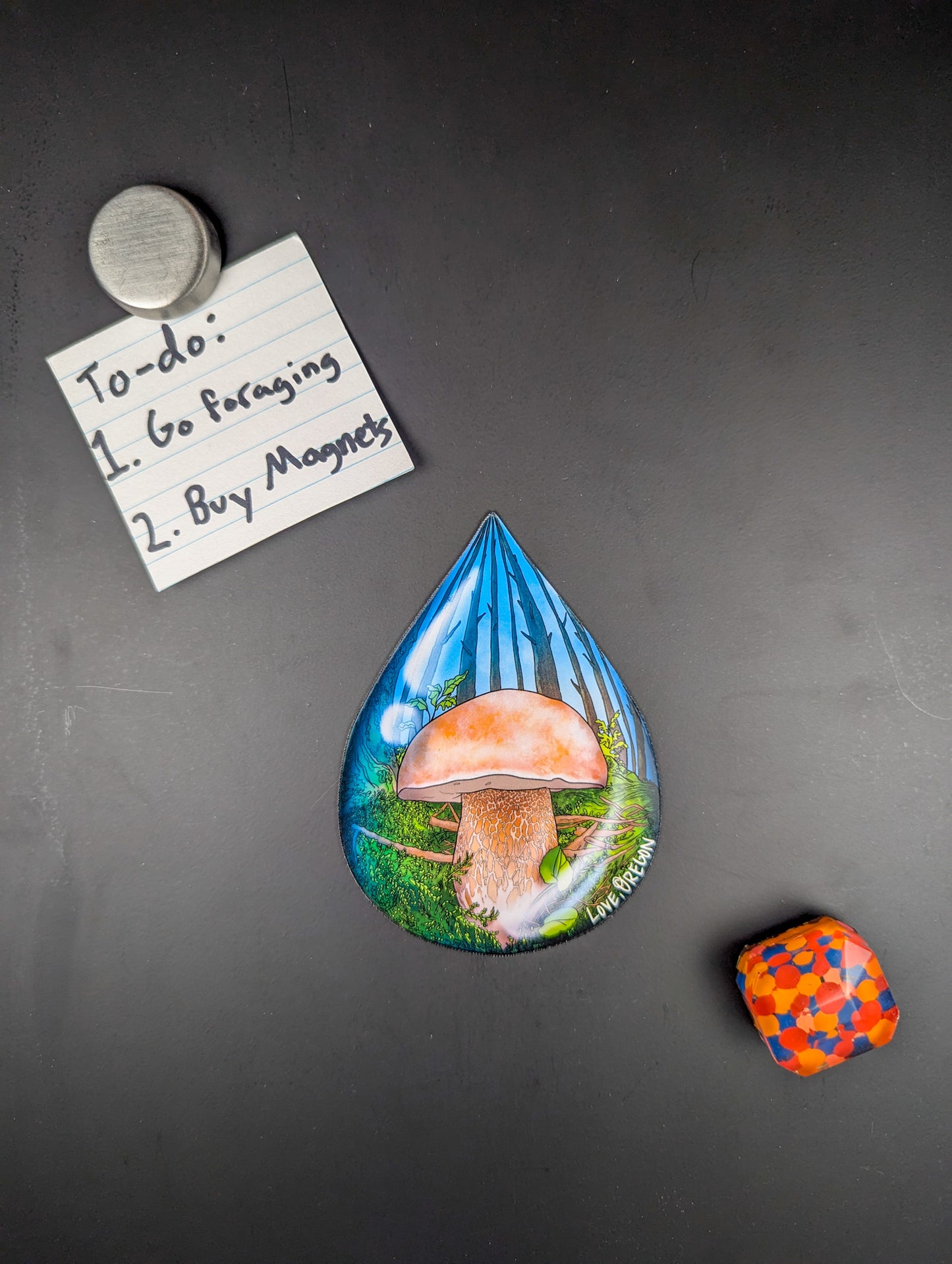 Porcini Mushroom Raindrop Magnet | Love, Oregon | Beautiful Mushroom Magnet