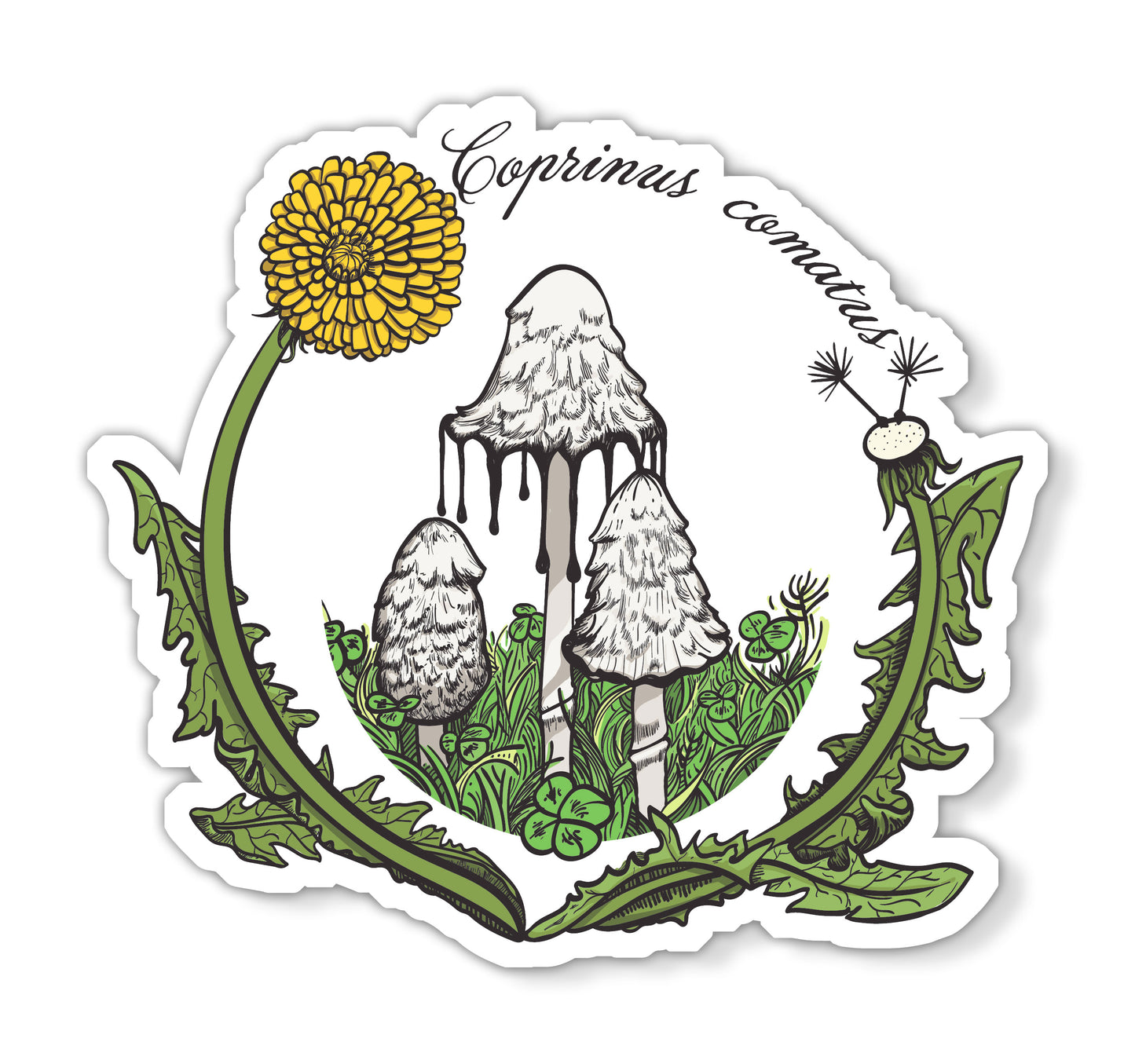 Shaggy Mane Mushroom Magnet | Coprinus comatus | Inky Cap