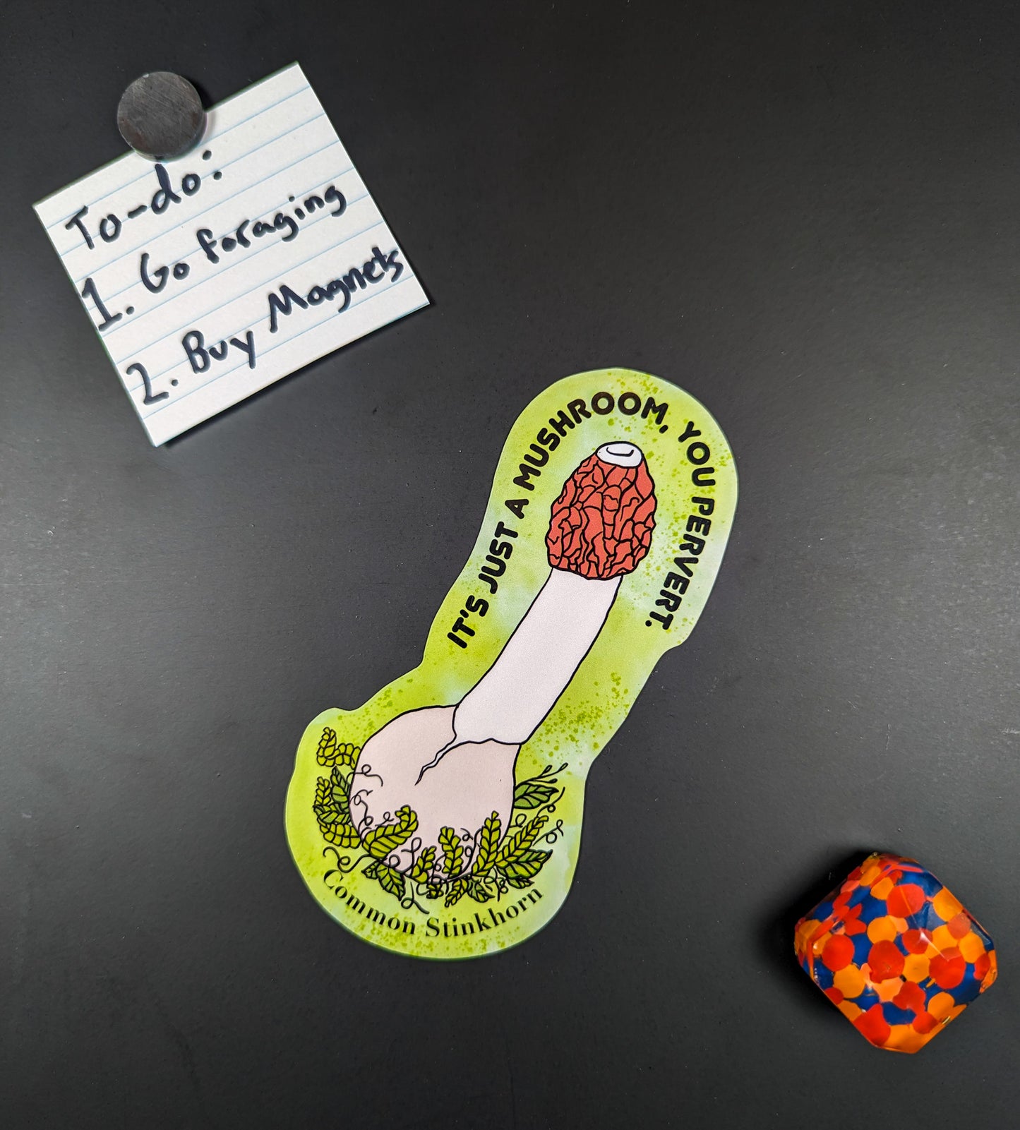 "It's Just a Mushroom, You Pervert" Set of 3 Mushroom Magnets | Common Stinkhorn, Crimini, and Purple-Gilled Laccaria