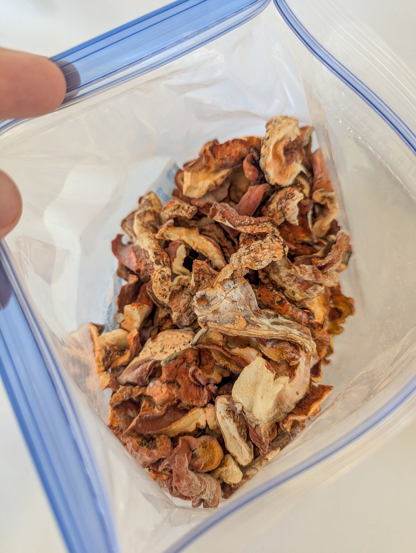 Dehydrated Lobster Mushrooms For Naturally Dyeing Wool and Fabrics *NOT FOR CULINARY USE, DO NOT EAT*