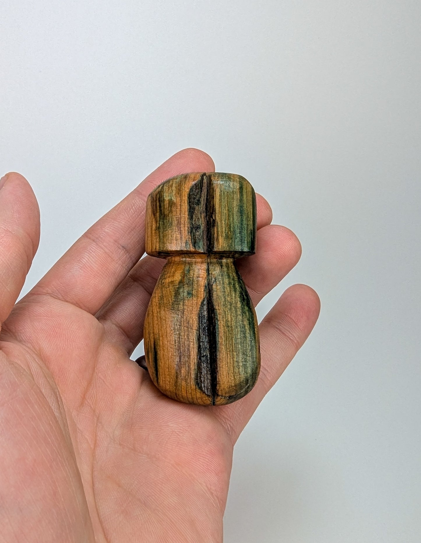 Porcini Display Piece #02 | Naturally Fungus Stained Wood