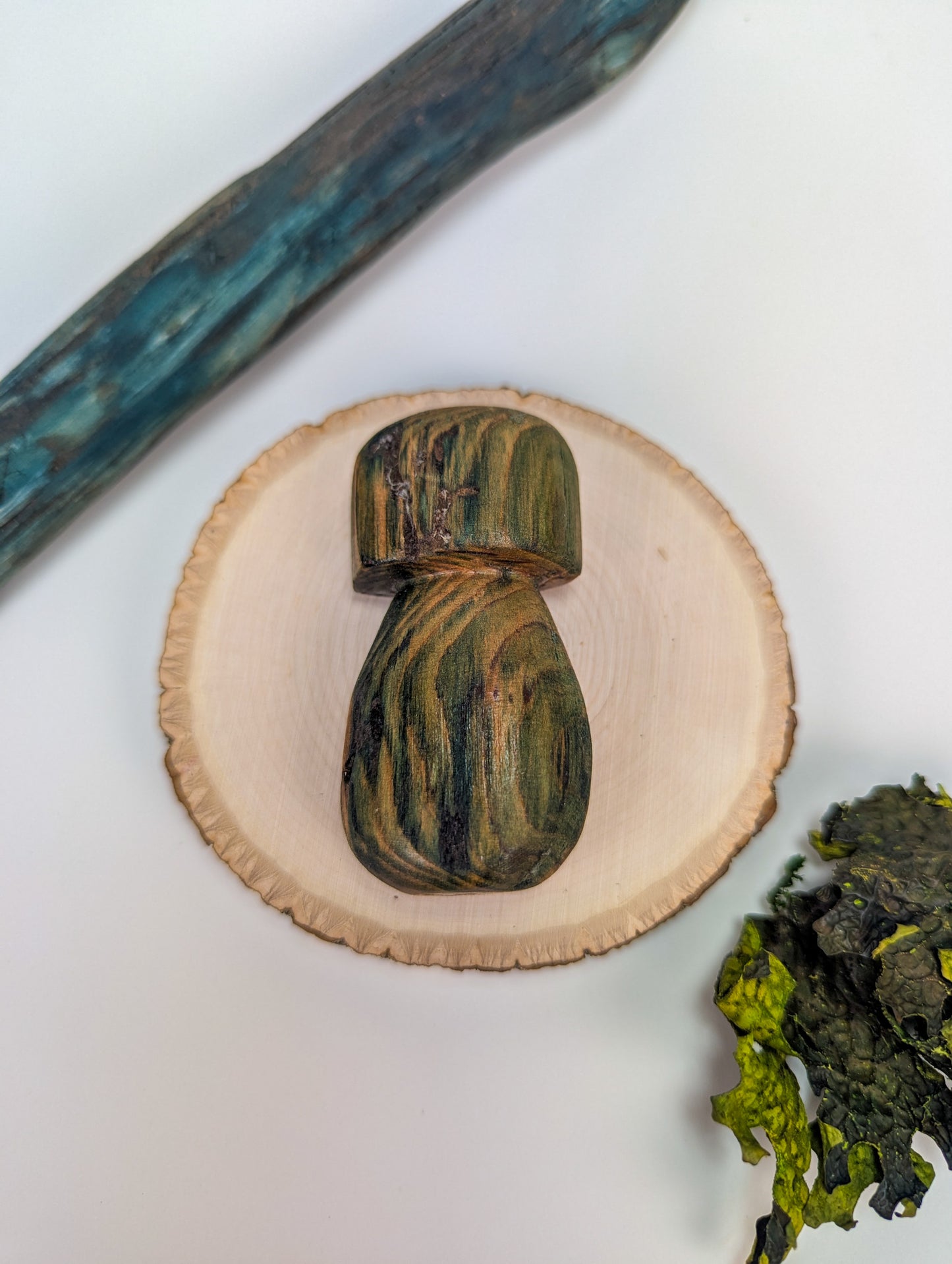 Porcini Display Piece #02 | Naturally Fungus Stained Wood