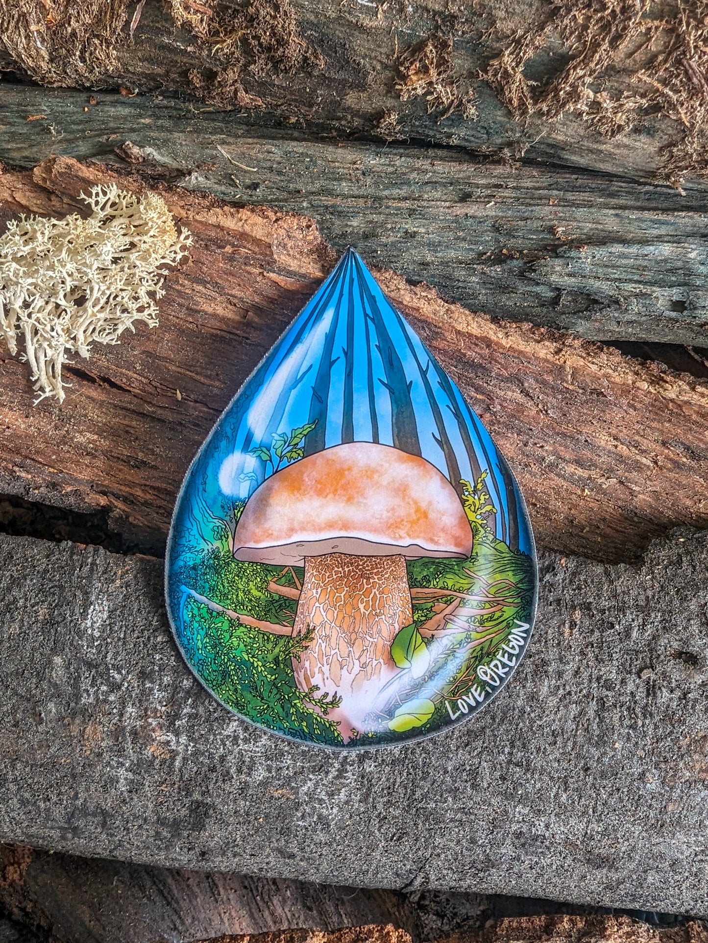 Porcini Mushroom Raindrop Sticker | "Love, Oregon" Realistic Mushroom Artwork