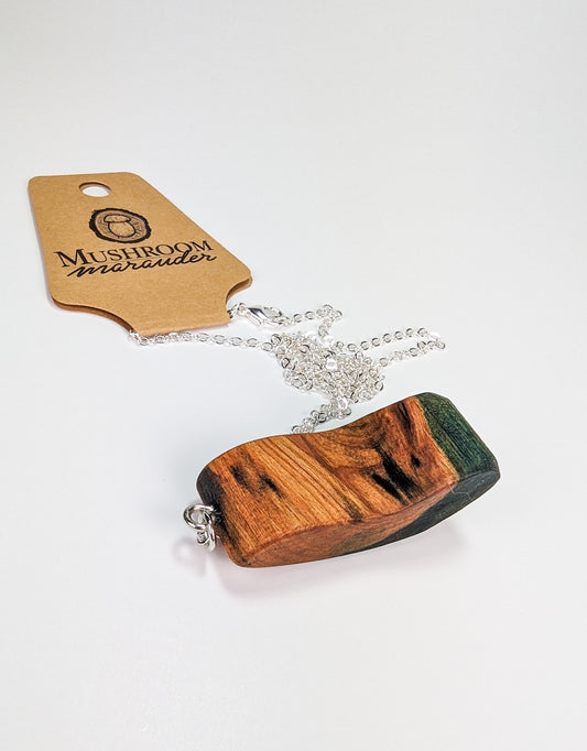 Naturally Fungus-Stained Wooden Pendant - Abstract Bean