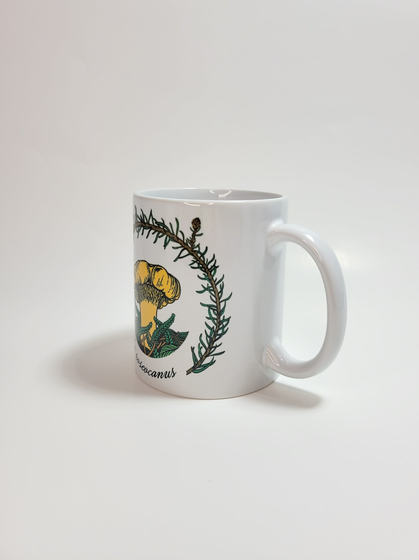 Cantharellus Roseocanus | Rainbow Chanterelle Mushroom Mug | Mushroom Artwork on Ceramic Cup | 11oz/15oz Sizes