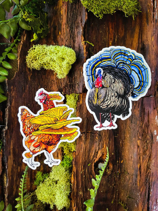 Fowl Play Duo | Set of 2 Funny Mushroom Stickers | Chicken of the Woods | Turkey Tail