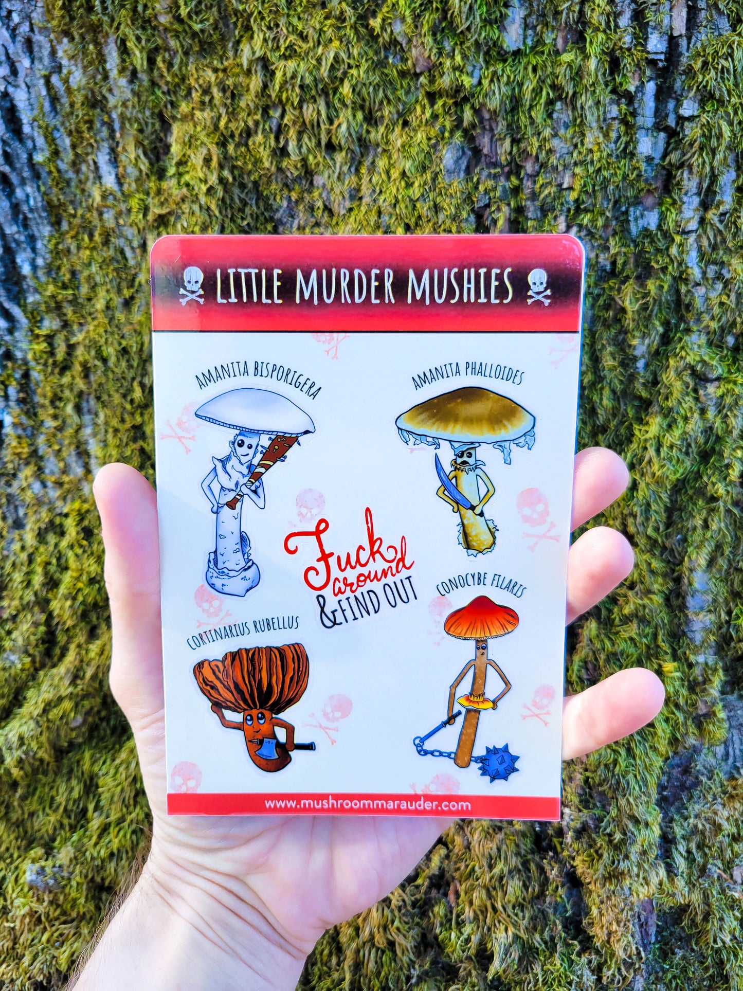 Little Murder Mushies | Sheet of 5 Stickers | Adorable Killer Mushrooms | Deadly Real-Life Fungi