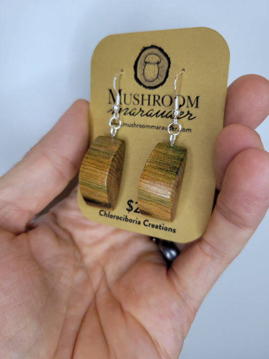 Naturally Fungus-Stained Wooden Earrings