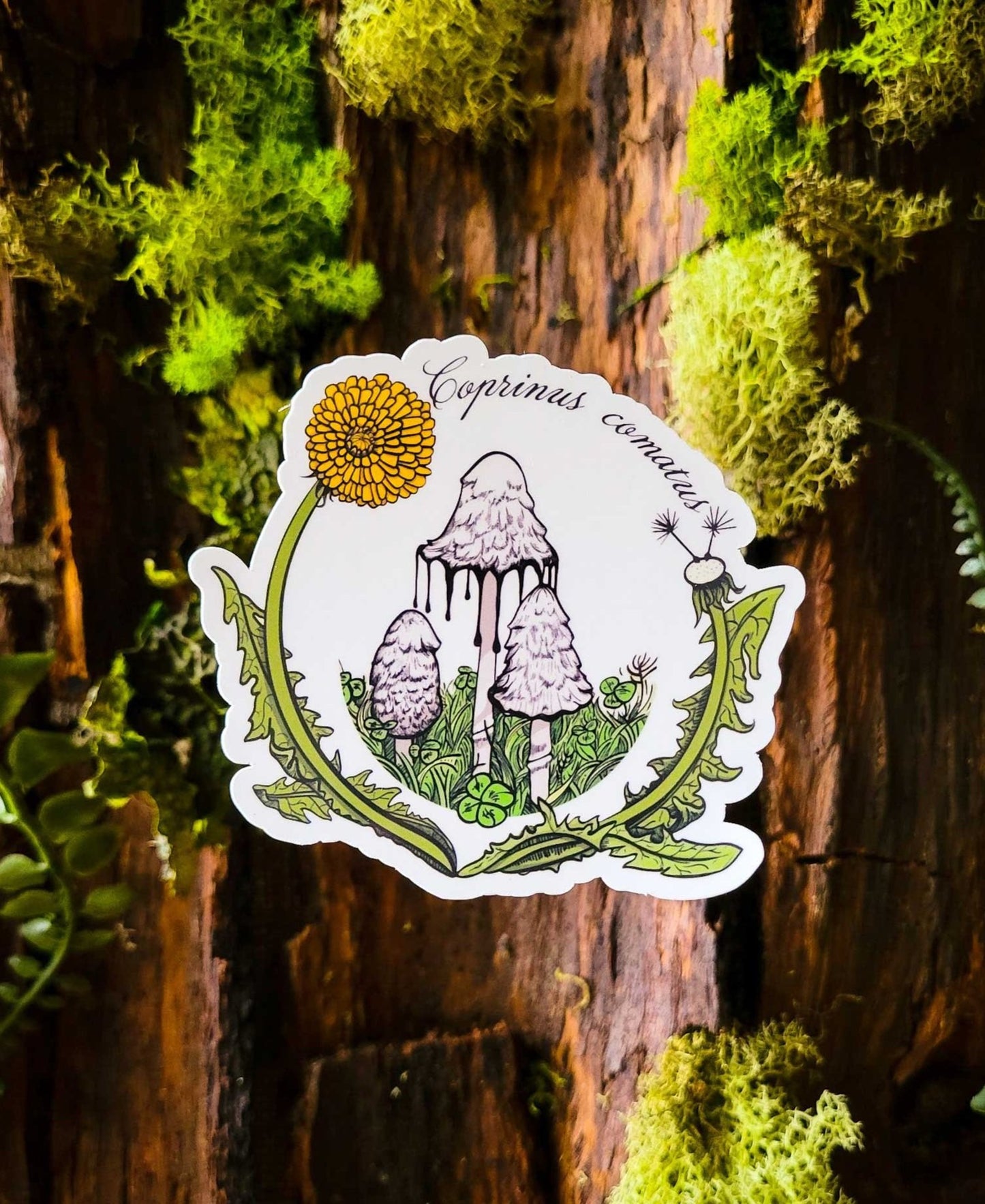 Shaggy Mane Mushroom Sticker | Coprinus comatus | Inky Cap
