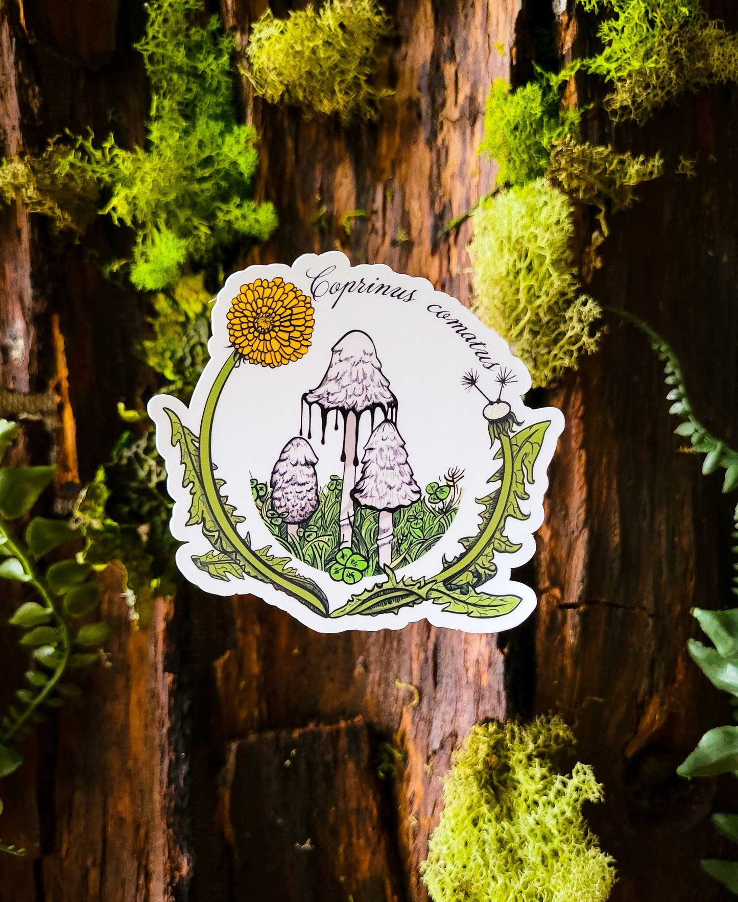 The Full Monty |  Collection of 10 Mushroom Stickers by Suzi McCrae