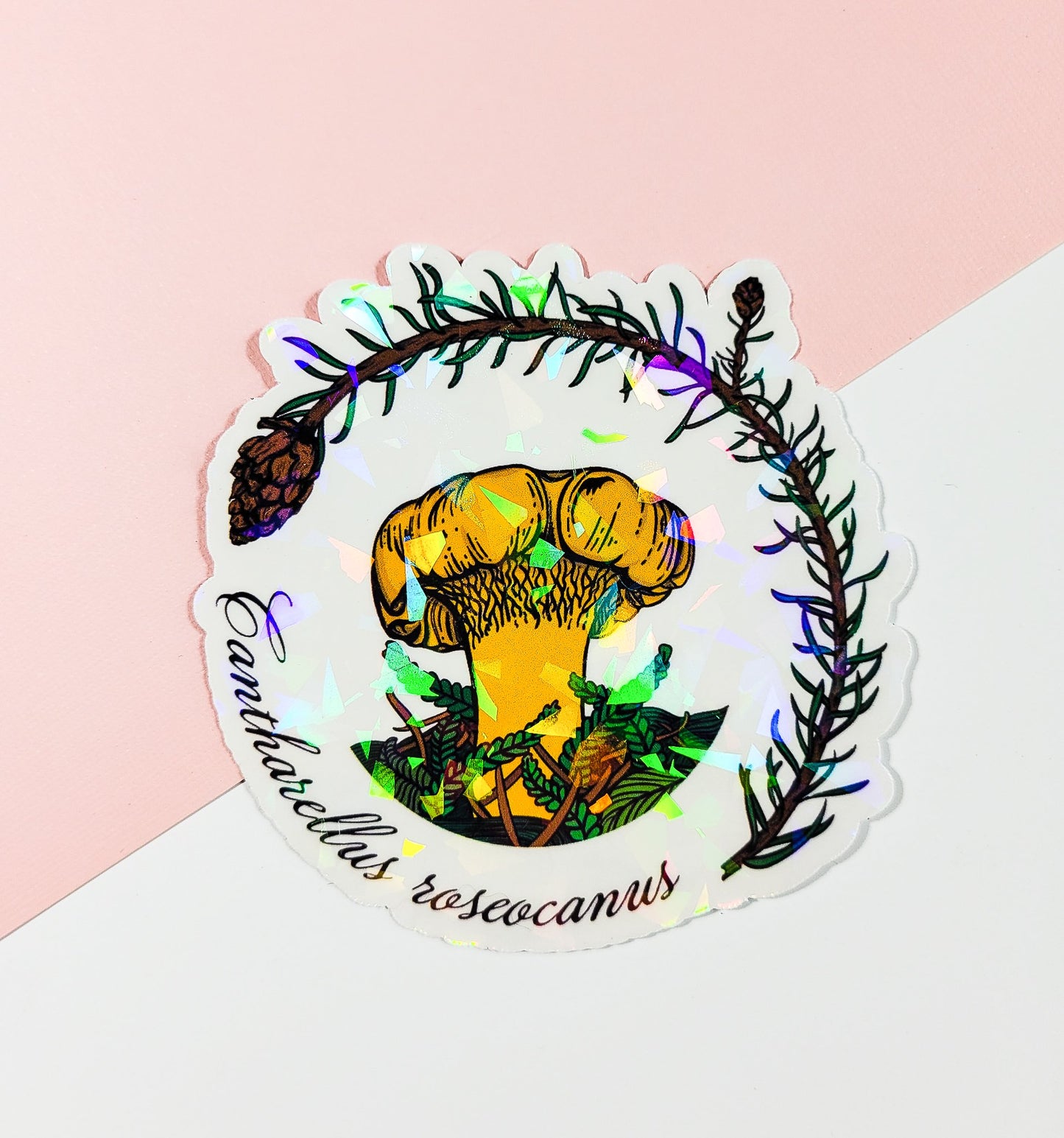 Rainbow Chanterelle Mushroom Sticker | Cantharellus roseocanus