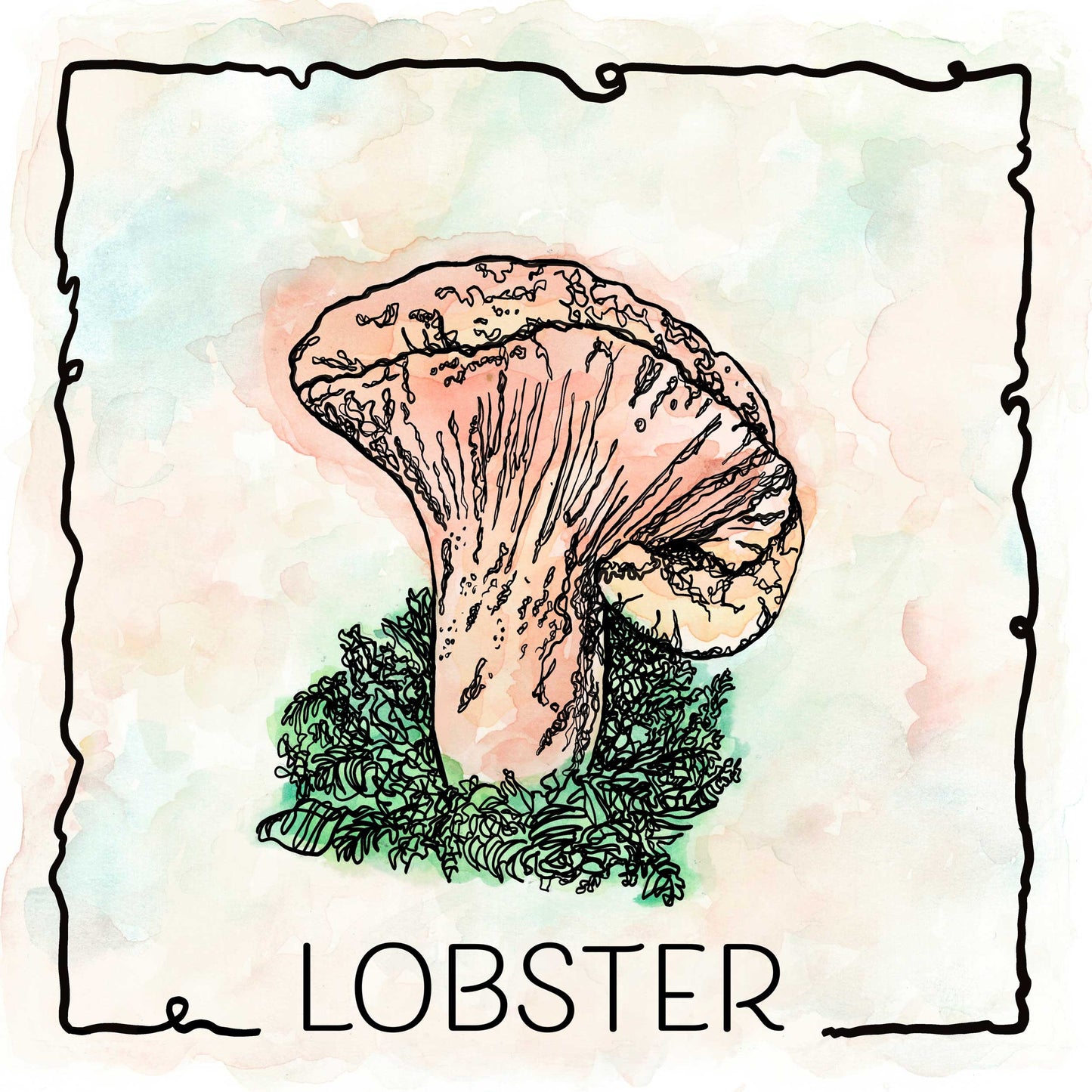 Edible and Beautiful | 4 Prized Wild Mushrooms | Set of Four 5"x5" Prints | Chanterelle, Lobster, Morel and Oyster